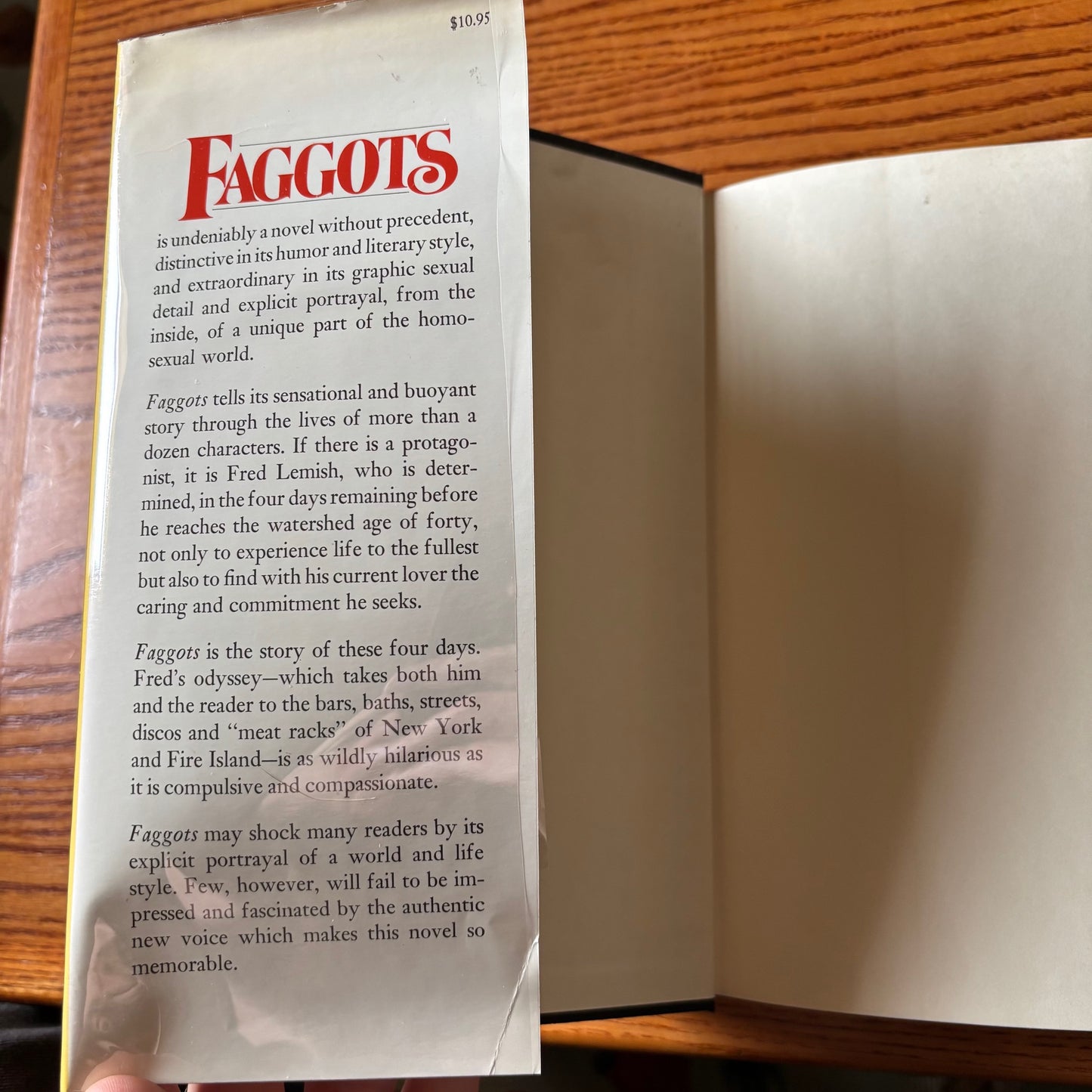Larry Kramer - Faggots - First Edition