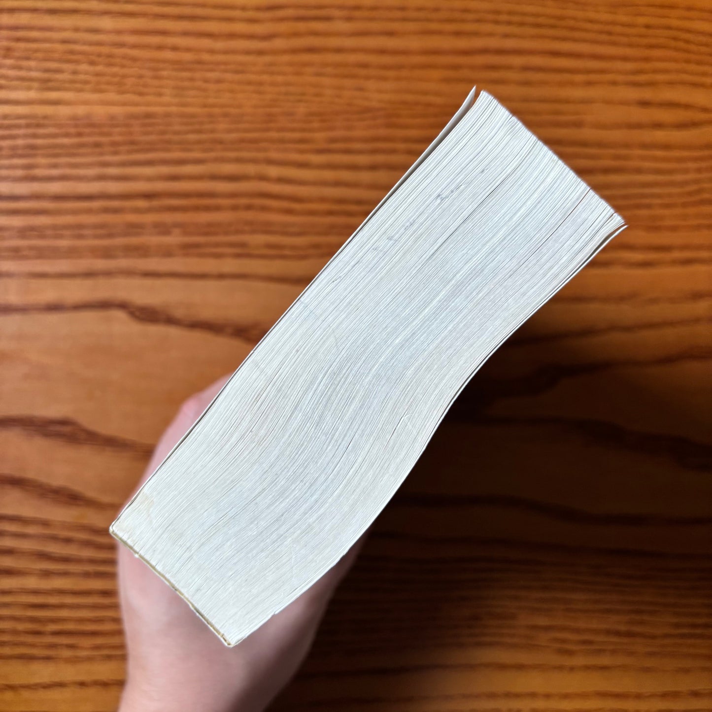 Sylvia Plath - The Unabridged Journals - First Edition Paperback