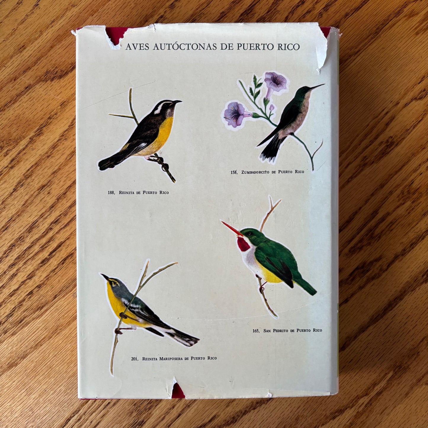 Virgilio Biaggi - Las Aves de Puerto Rico