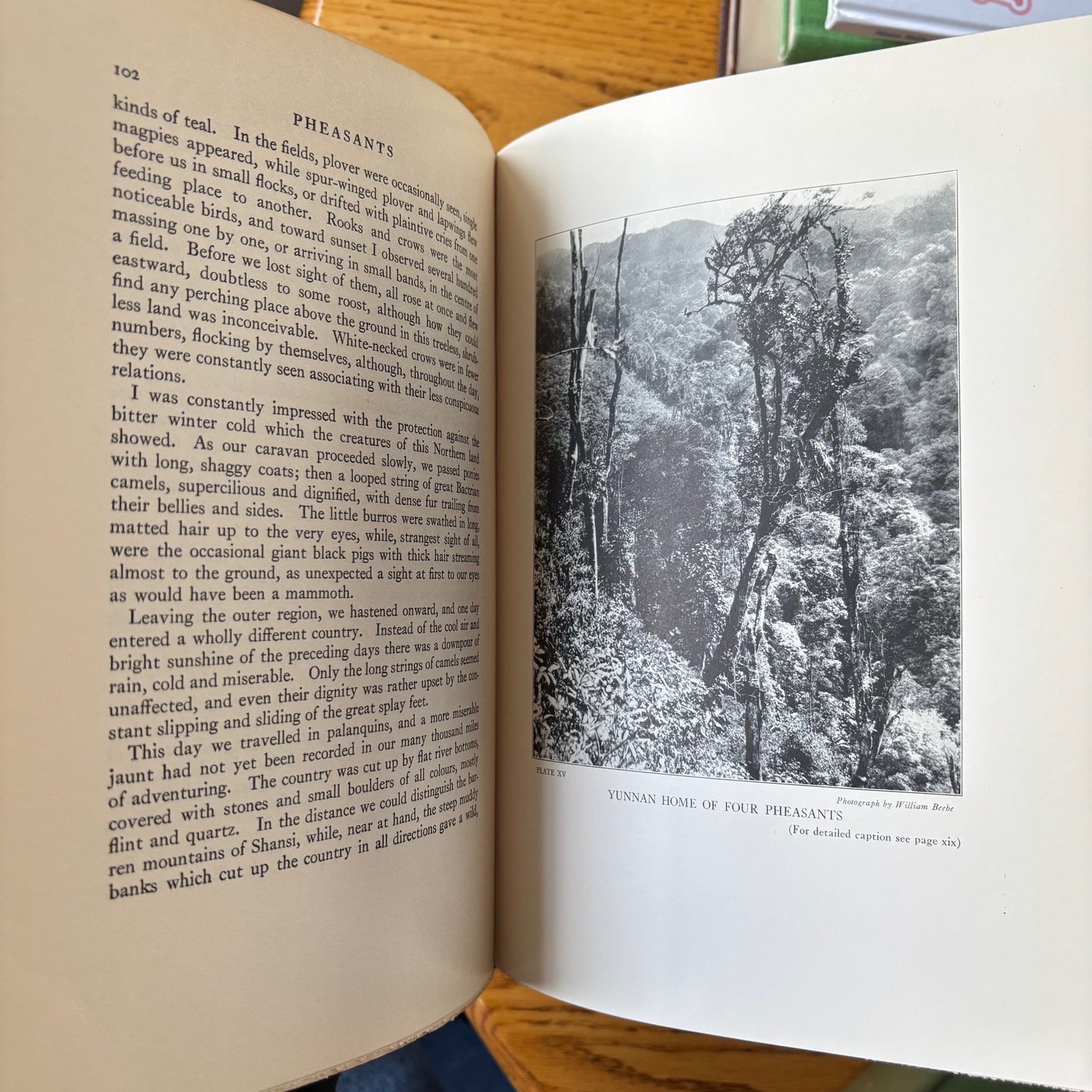 William Beebe - Pheasants: Their Lives and Homes - 2 Vols.