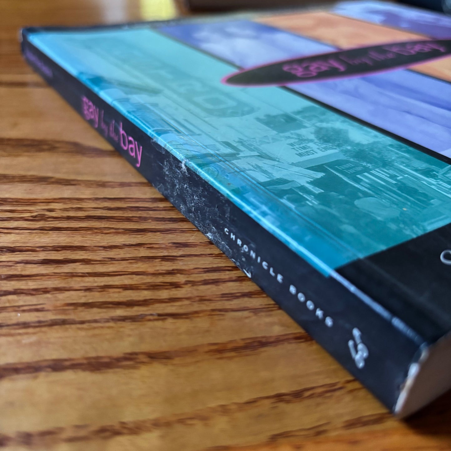Susan Stryker & Jim Van Buskirk - Gay by the Bay: A History of Queer Culture in the San Francisco Bay Area - First Edition