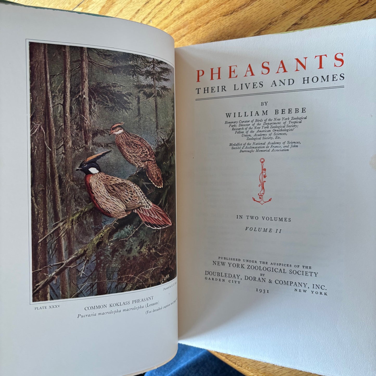 William Beebe - Pheasants: Their Lives and Homes - 2 Vols.