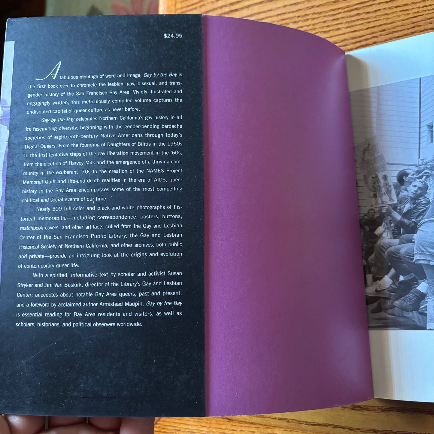 Susan Stryker & Jim Van Buskirk - Gay by the Bay: A History of Queer Culture in the San Francisco Bay Area - First Edition