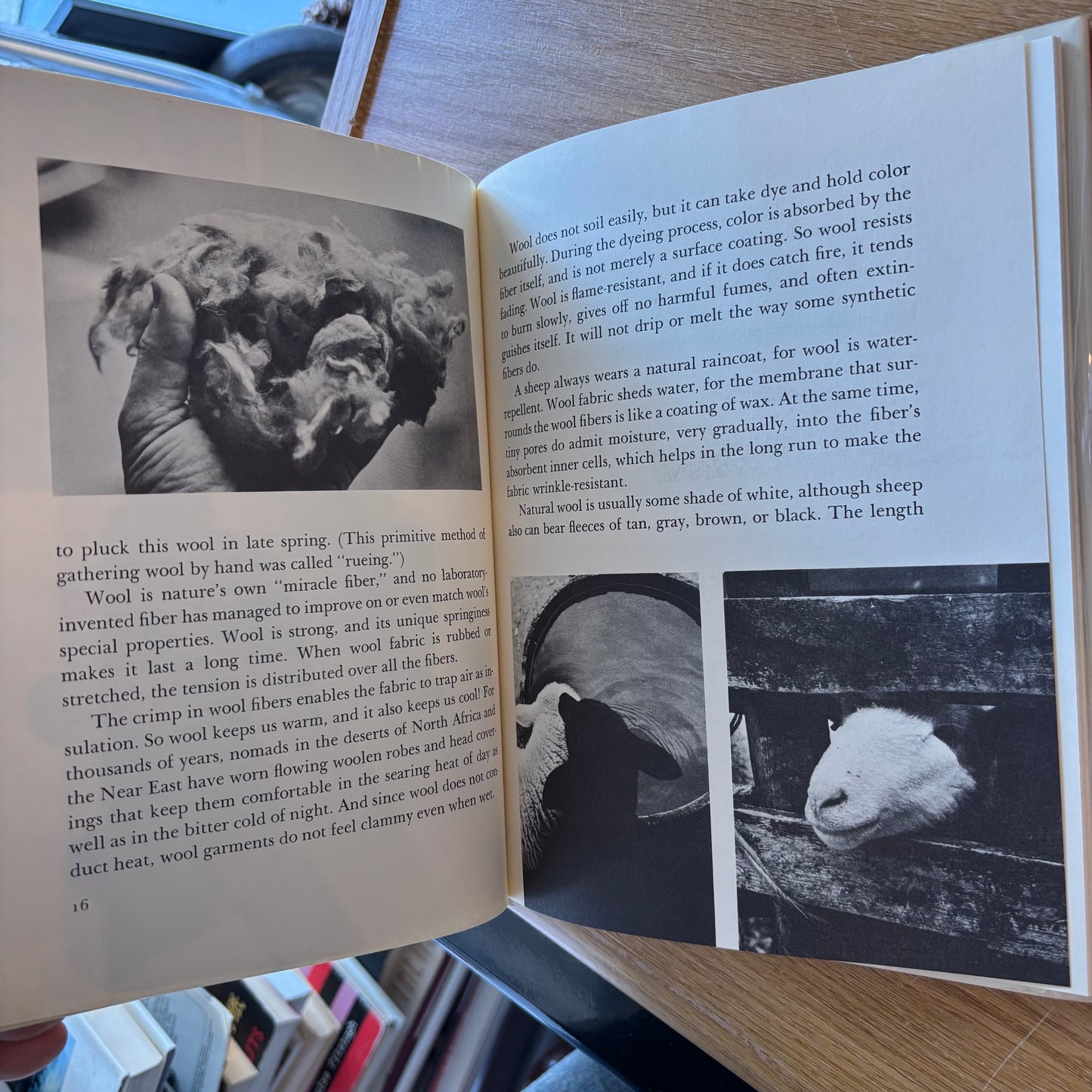 Elizabeth Gemming - Wool Gathering: Sheep Raising in Old New England - First Edition