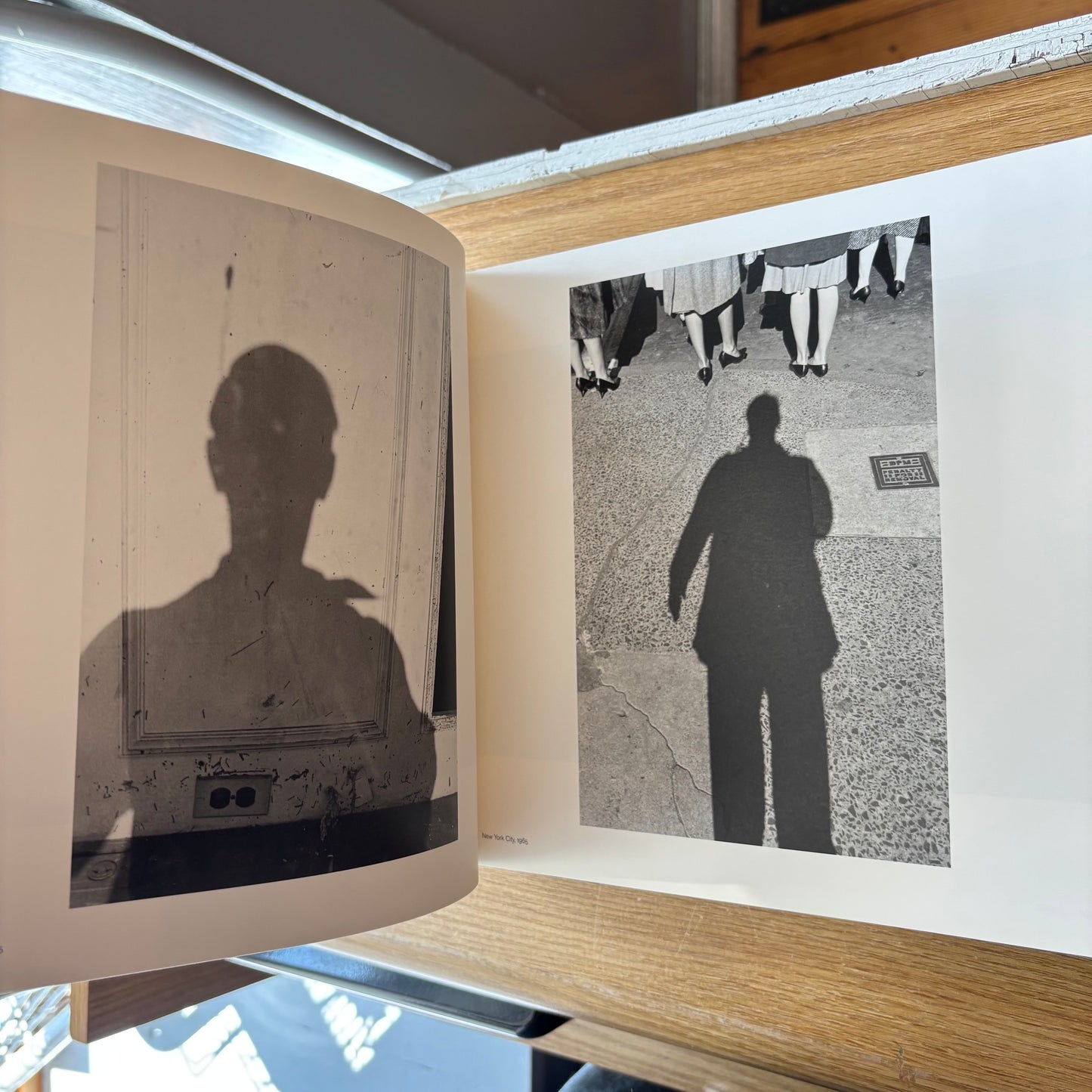Lee Friedlander - In the Picture: Self-Portraits 1958-2011 - First Edition