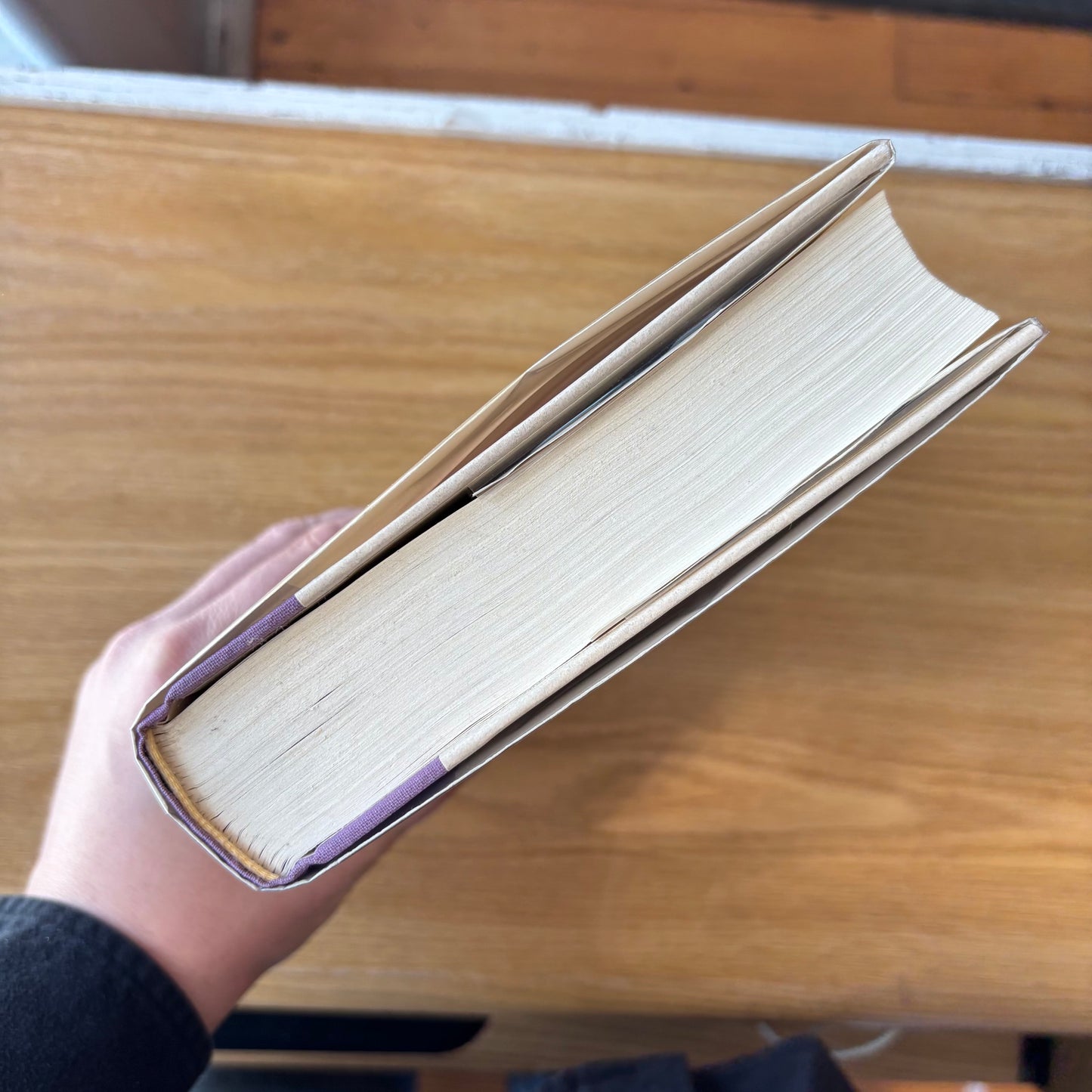 Neal Stephenson - The Diamond Age - First Edition