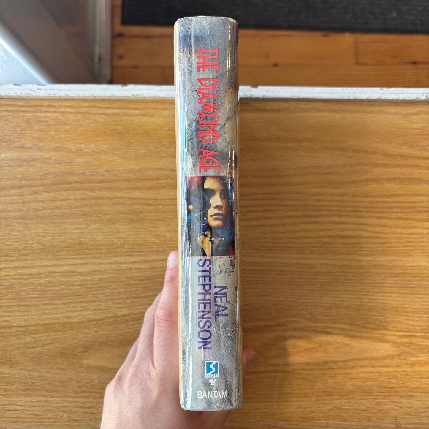 Neal Stephenson - The Diamond Age - First Edition