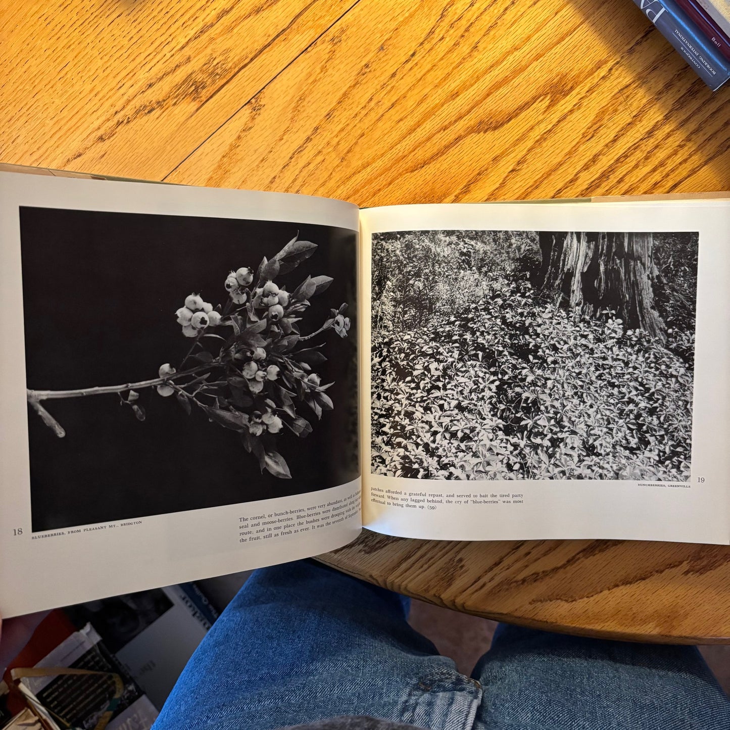 Henry D. Thoreau - The Illustrated Maine Woods