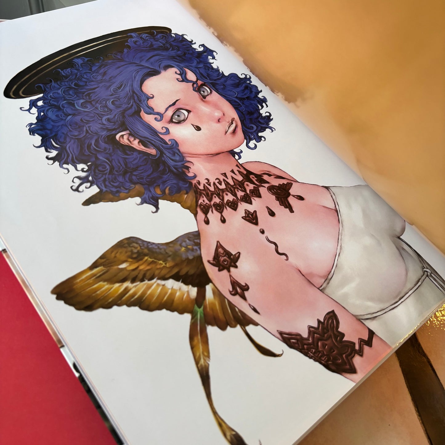 Terada Katsuya - Terra's Cover Girls - Box Set
