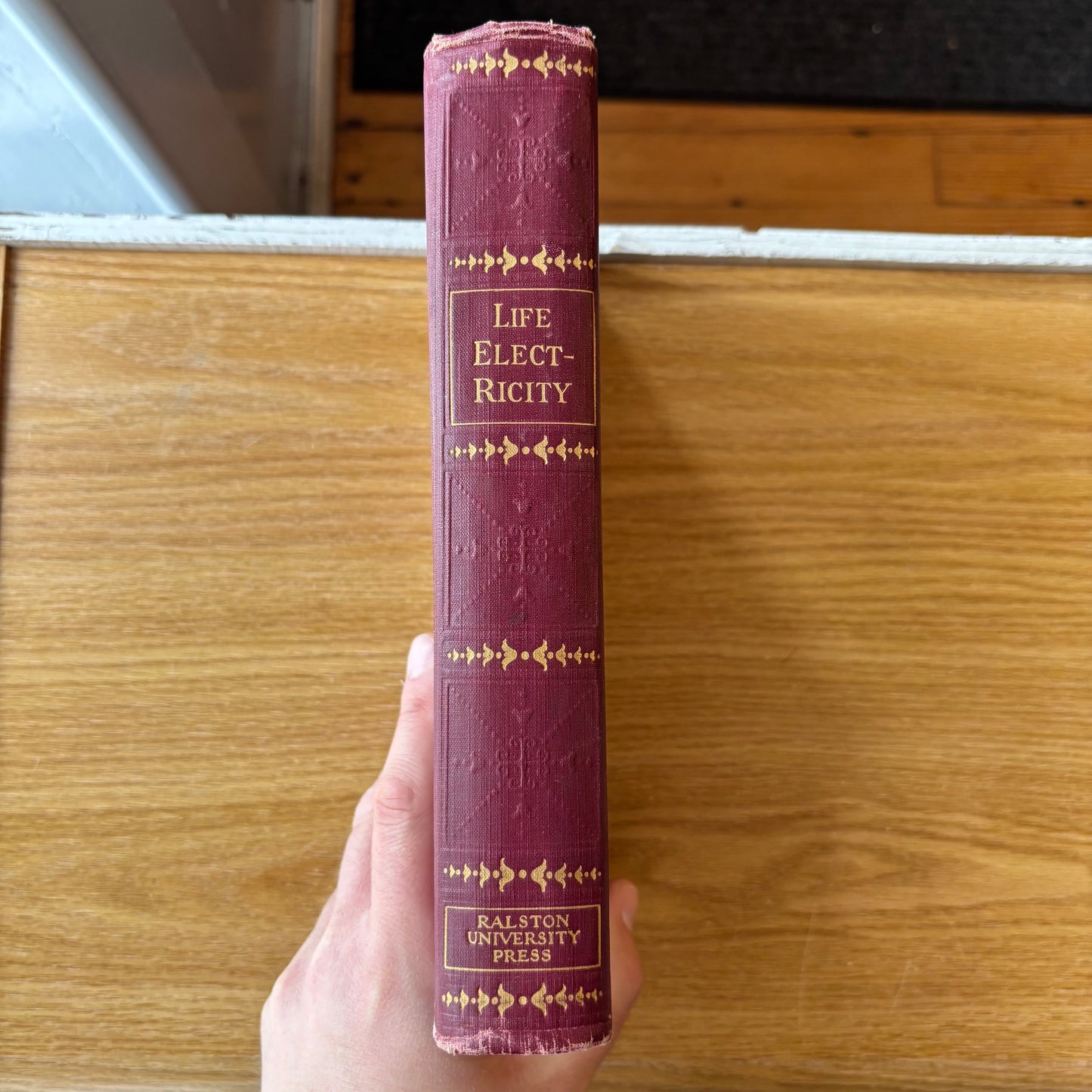 Edmund Shaftesbury - A Complete Course in Life Electricity