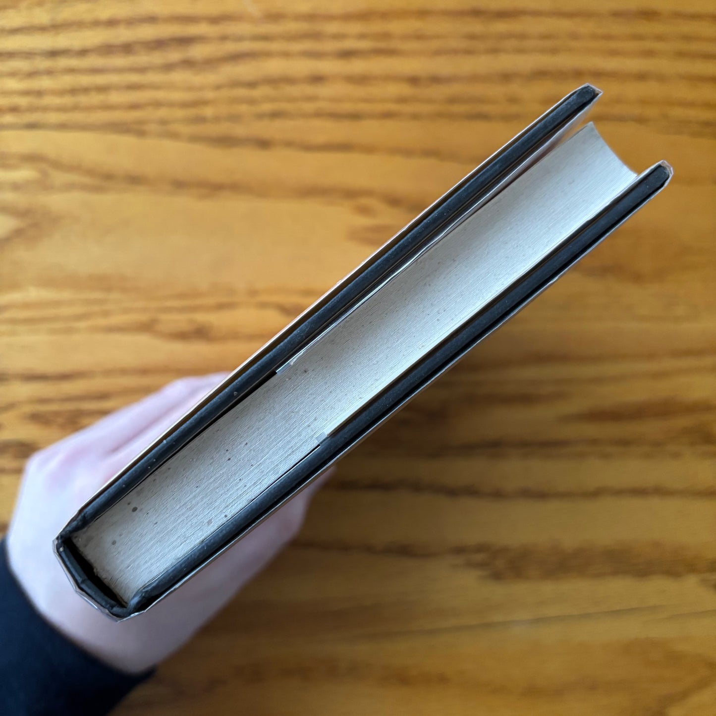 Joseph Hansen - Skinflick - First Edition