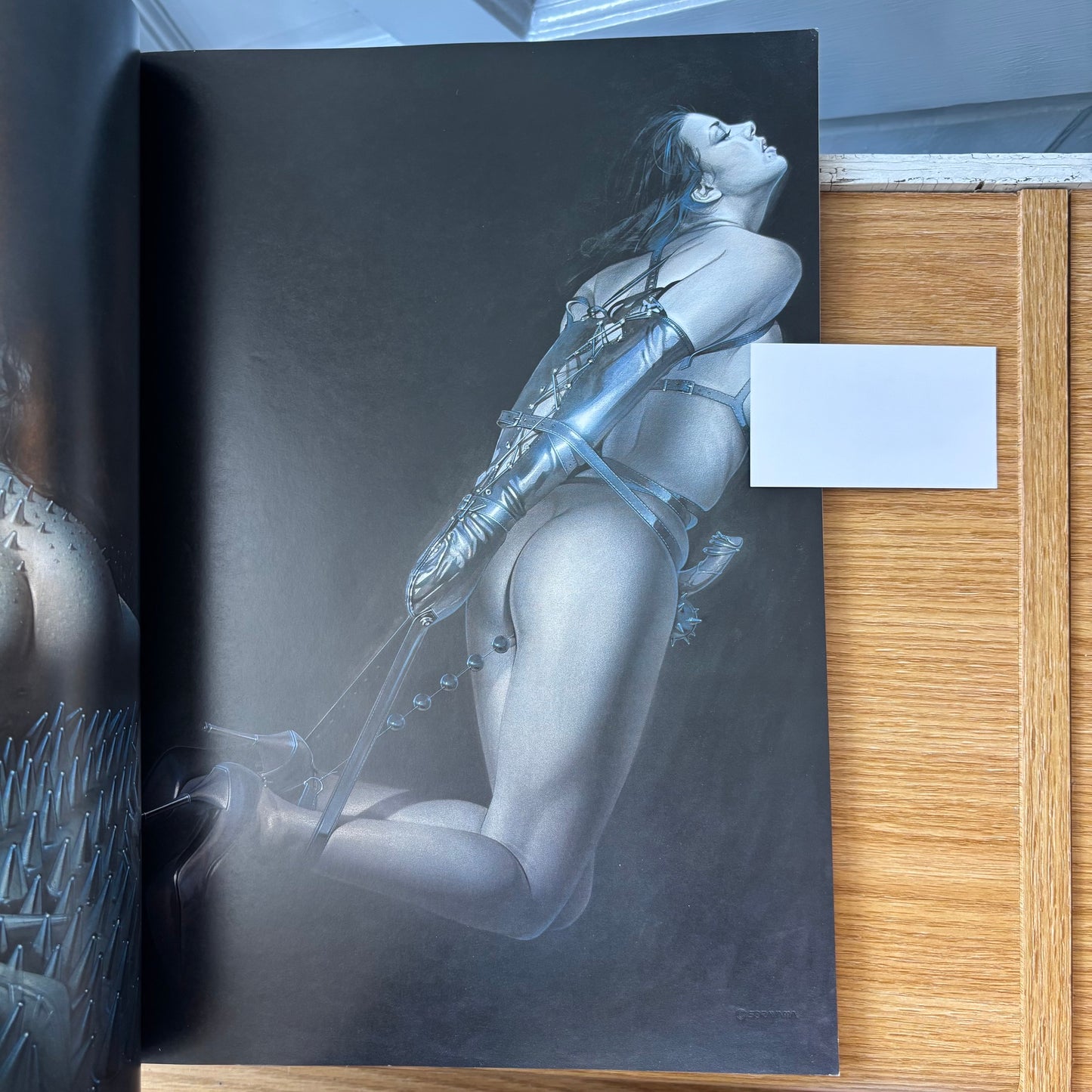 Hajime Sorayama - Torquere (Torture)