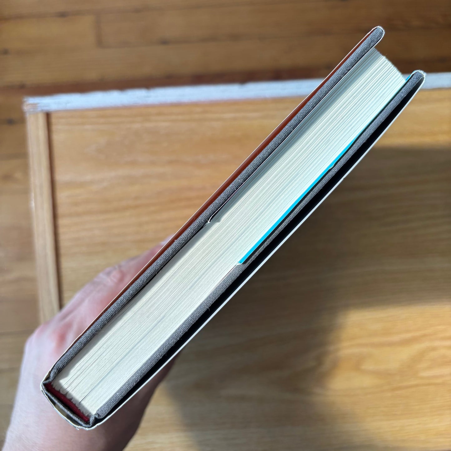 Joan Copjec - Imagine There's No Woman: Ethics and Sublimation - First Edition