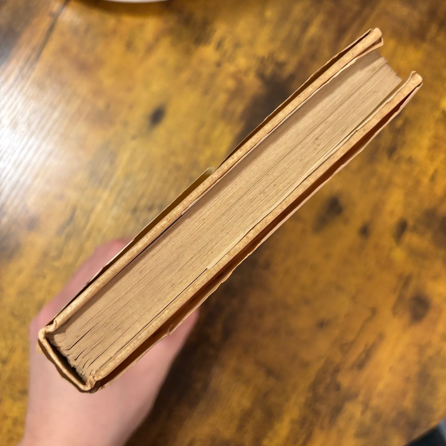 (Ian Scott, Max Luscher) The Luscher Color Test - First Edition