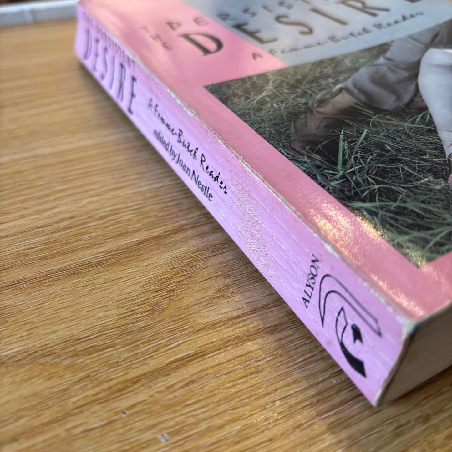 Joan Nestle, ed. - The Persistent Desire: A Femme-Butch Reader - First Edition