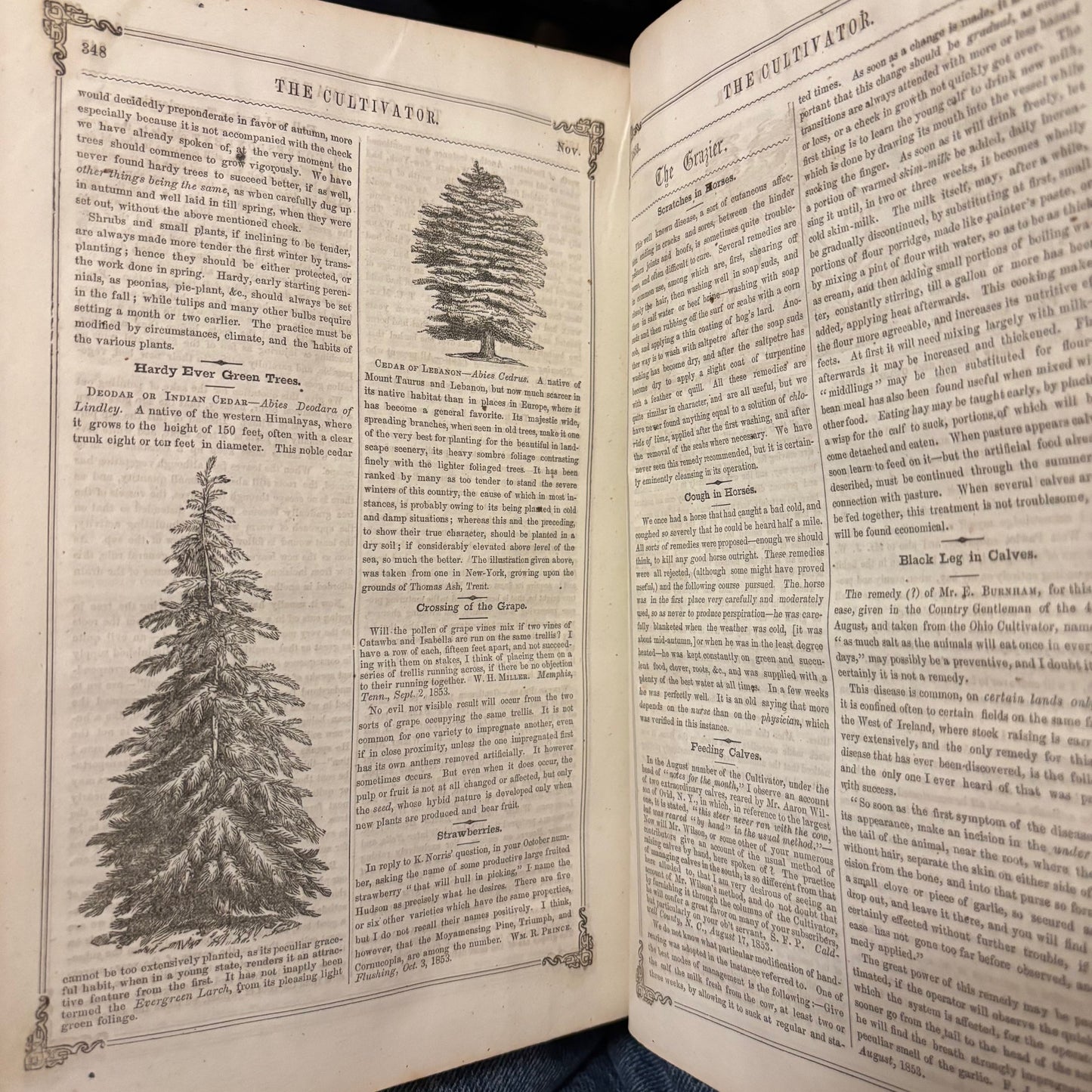 The Cultivator: A Monthly Journal for the Farm and Garden - Vol. I Third Series (1853)