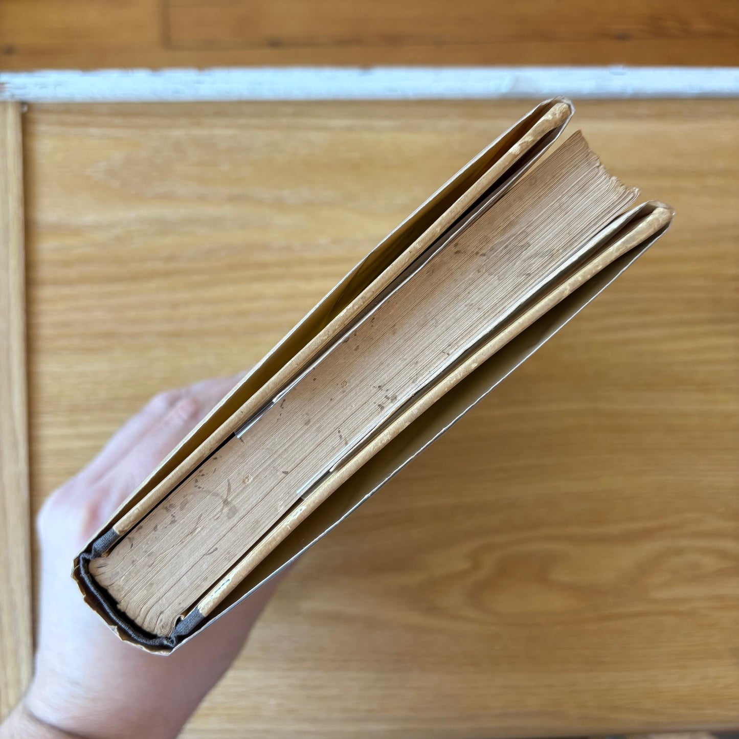 Albert Camus - The Myth of Sisyphus - First Edition