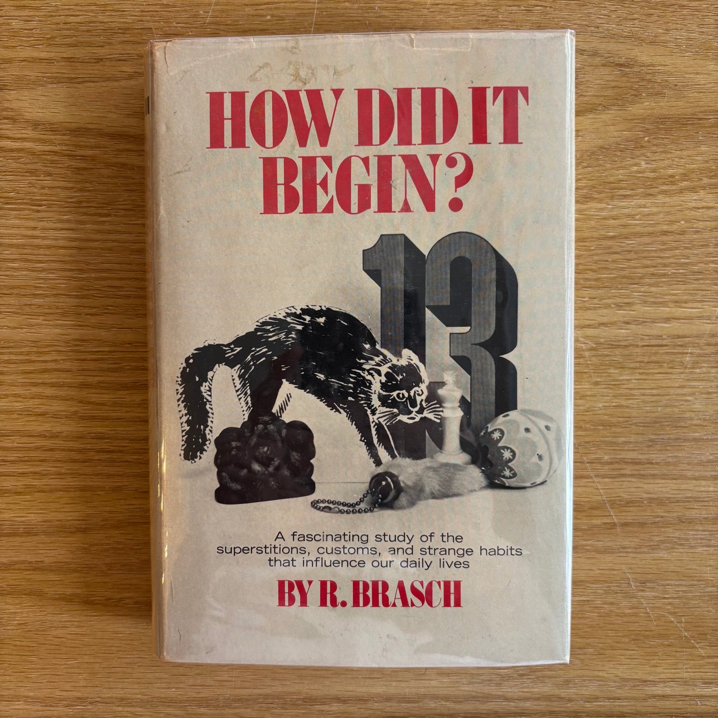 R. Brasch - How Did it Begin?