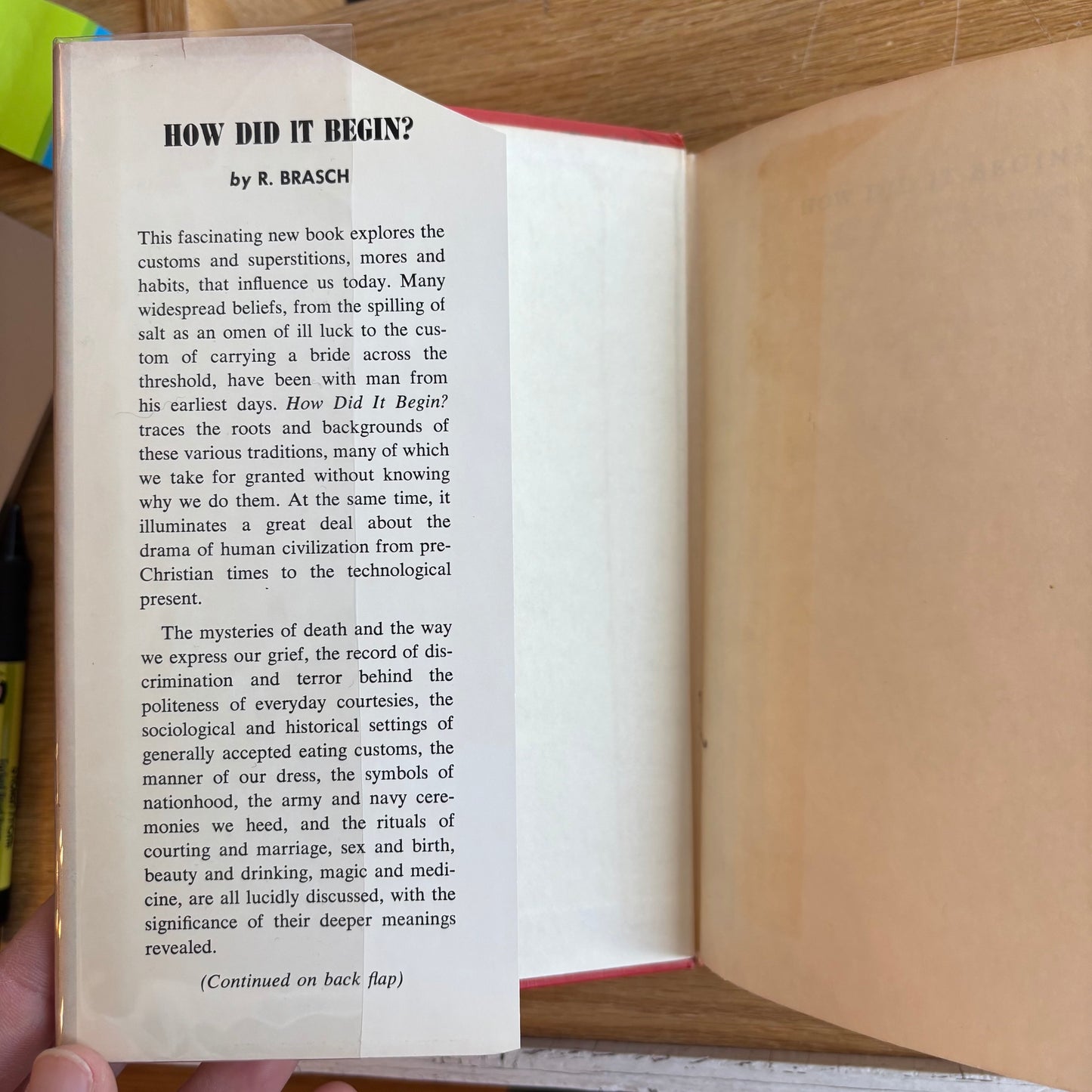 R. Brasch - How Did it Begin?