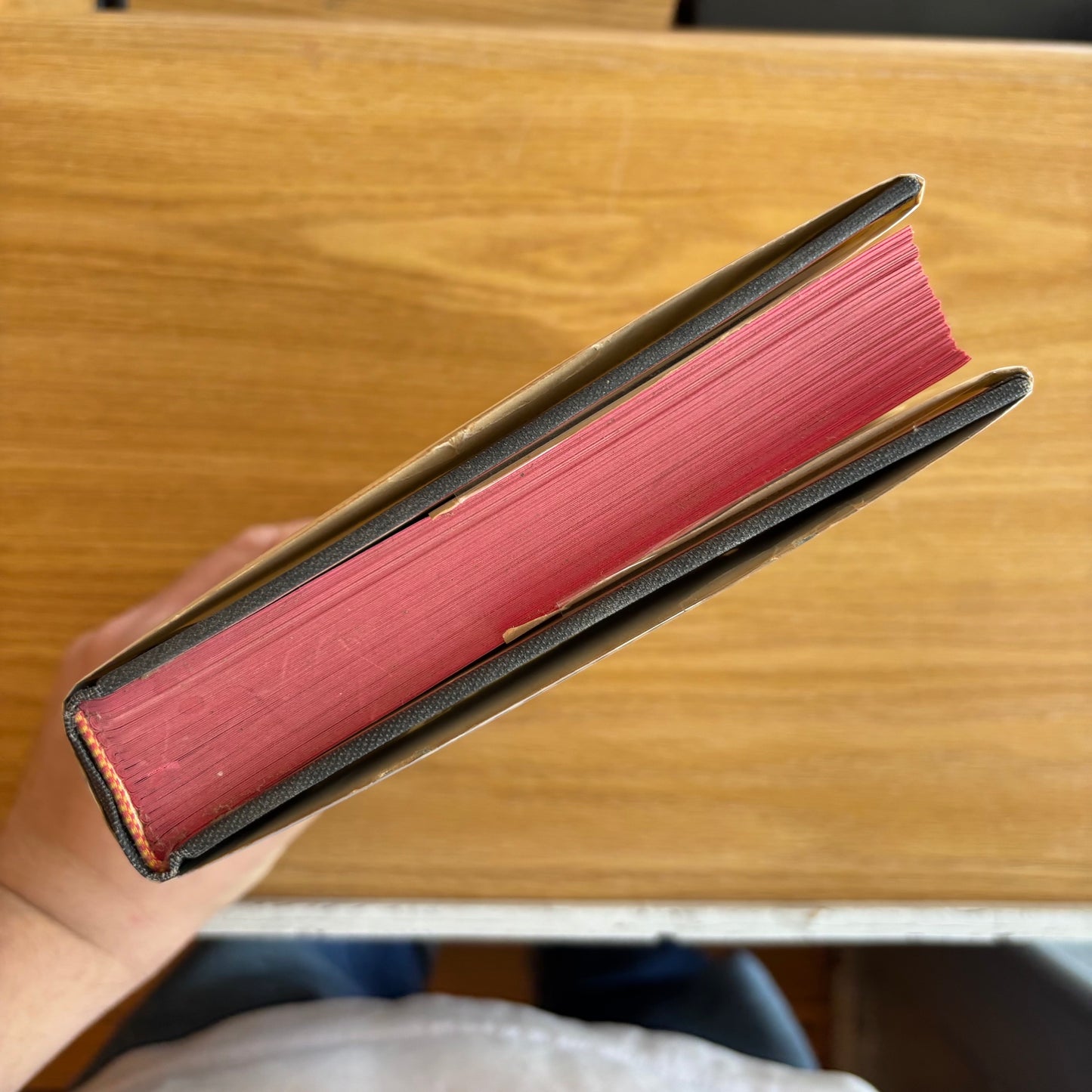 Norman Cohn - Europe's Inner Demons: An Enquiry Inspired by the Great Witch-Hunt - First Edition