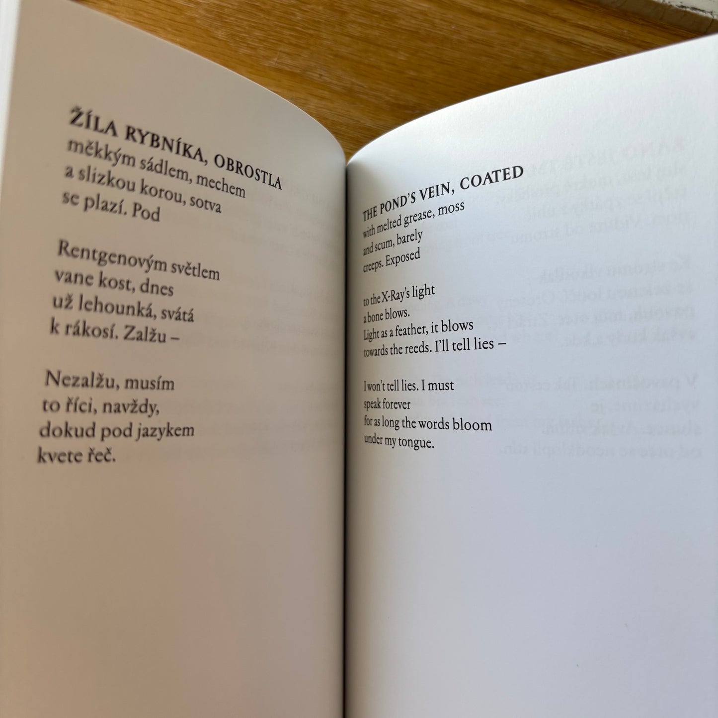 Pavel Šrut - Červotočivé Svetlo (Worm-Eaten Light) - First Edition