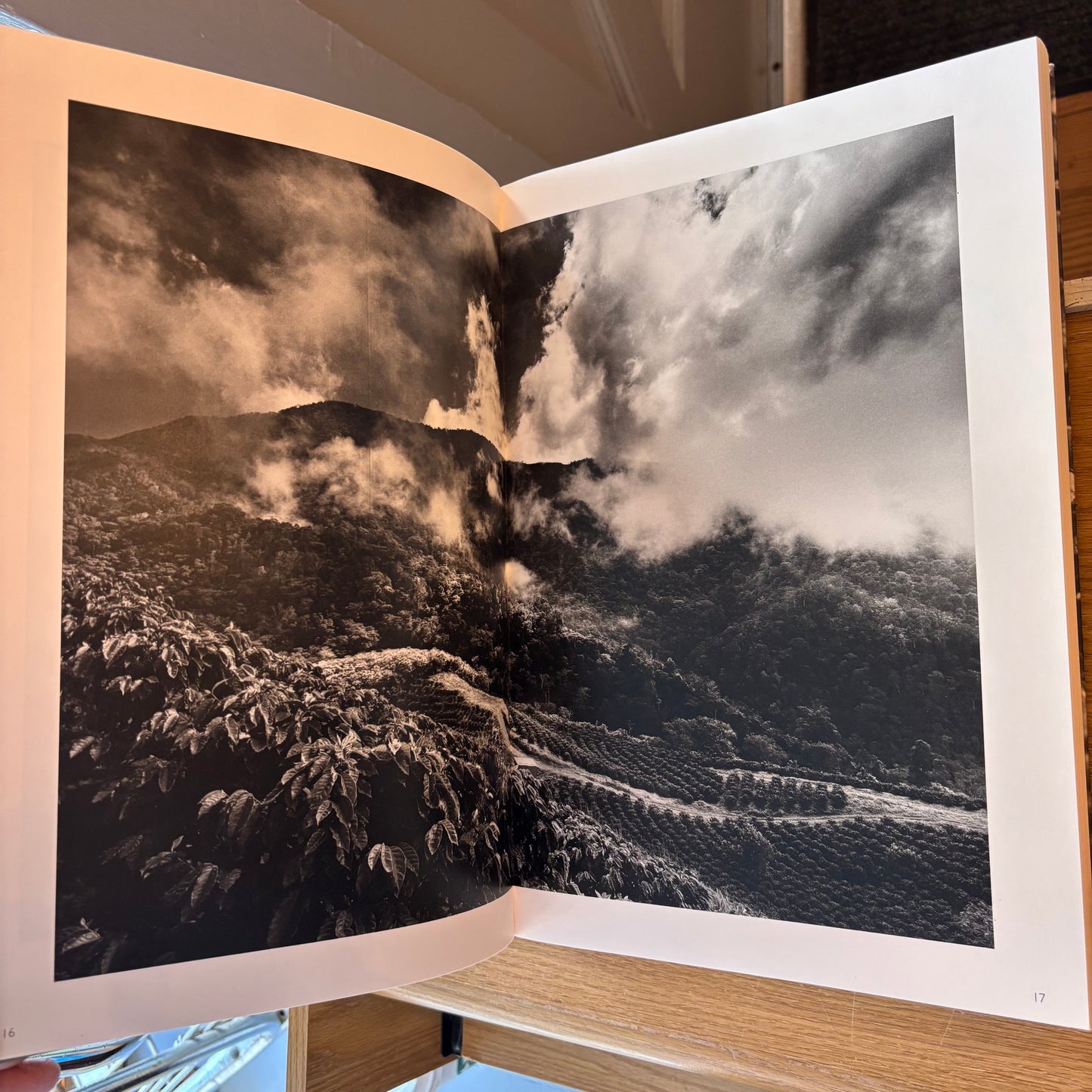 Sebastião Salgado - The Scent of a Dream: Travels in the World of Coffee - First Edition
