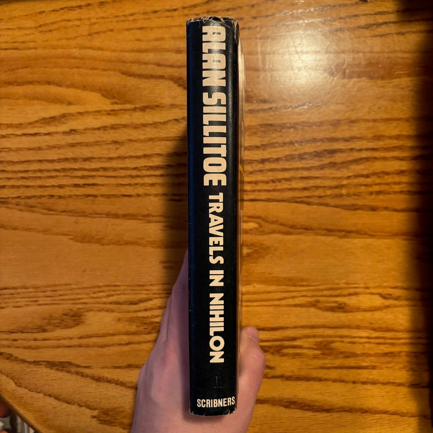 Alan Sillitoe - Travels in Nihilon - First Edition