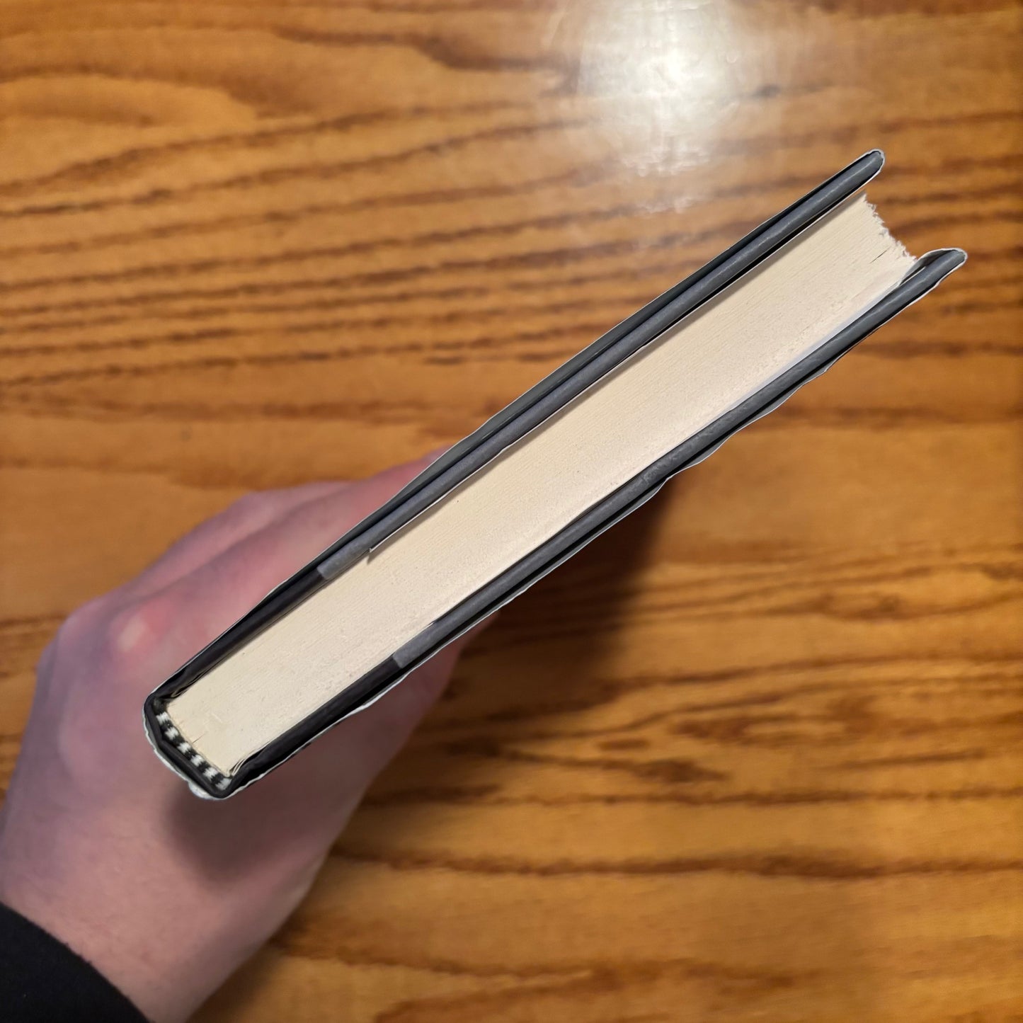 W.G. Sebald - Campo Santo - First Edition