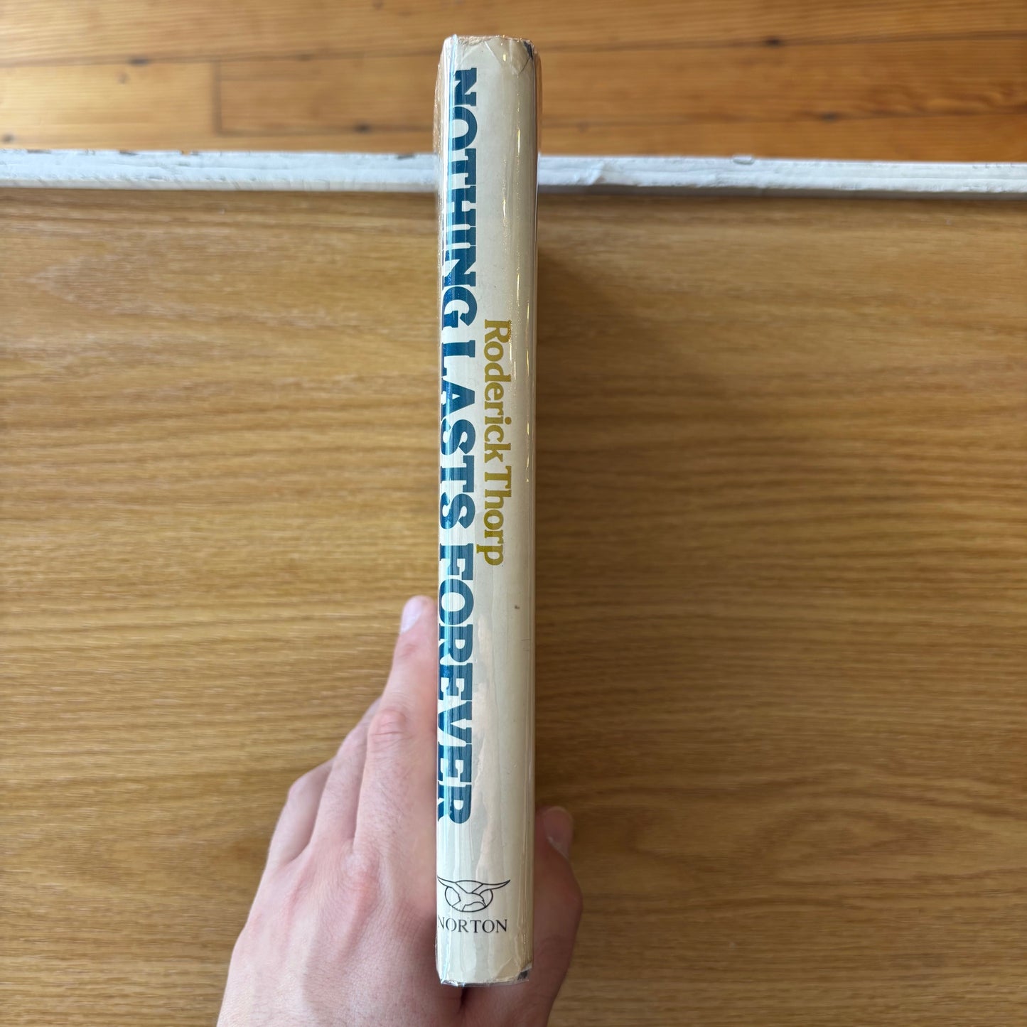 Roderick Thorp - Nothing Lasts Forever - First Edition Second Printing
