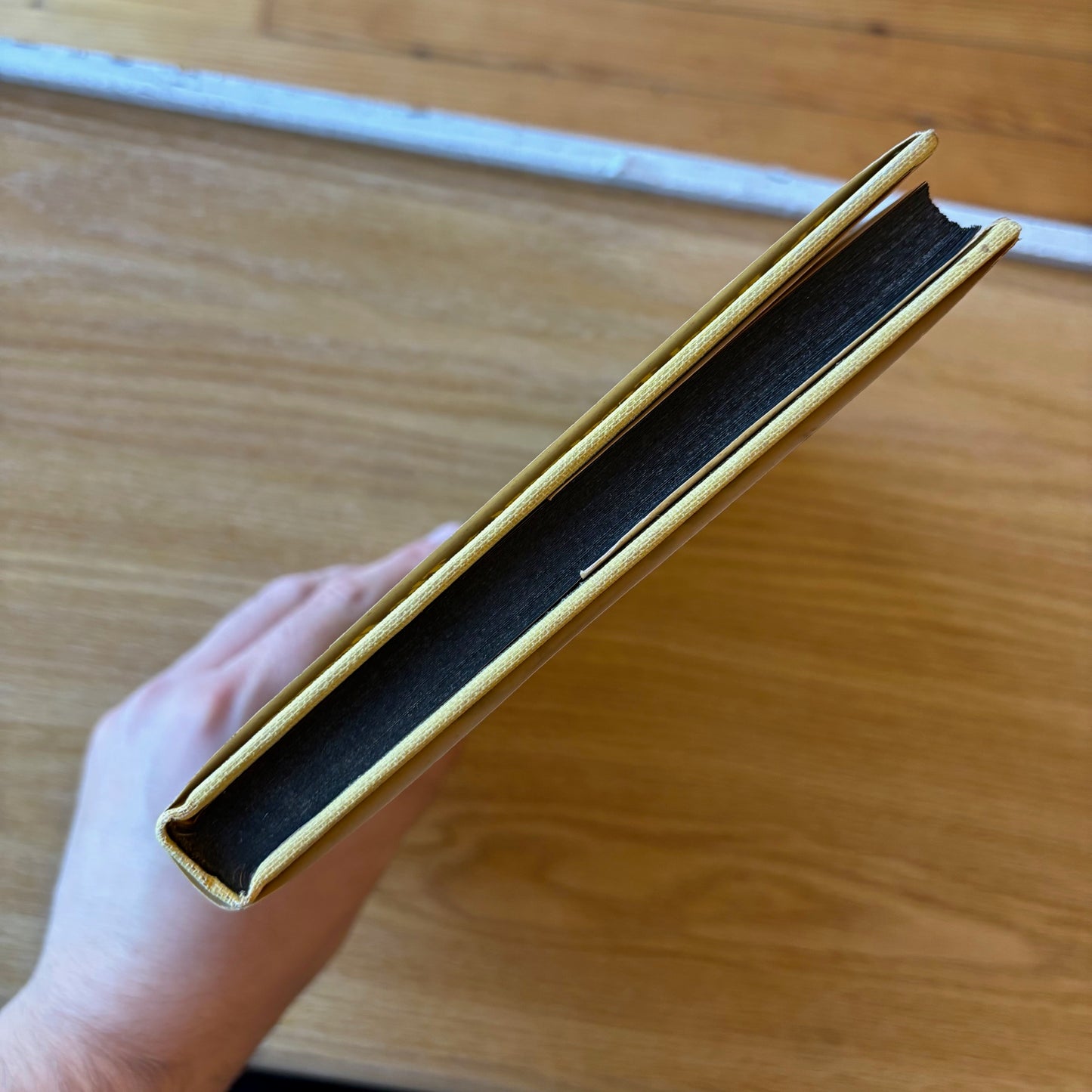 Donald Barthelme - Guilty Pleasures - First Edition