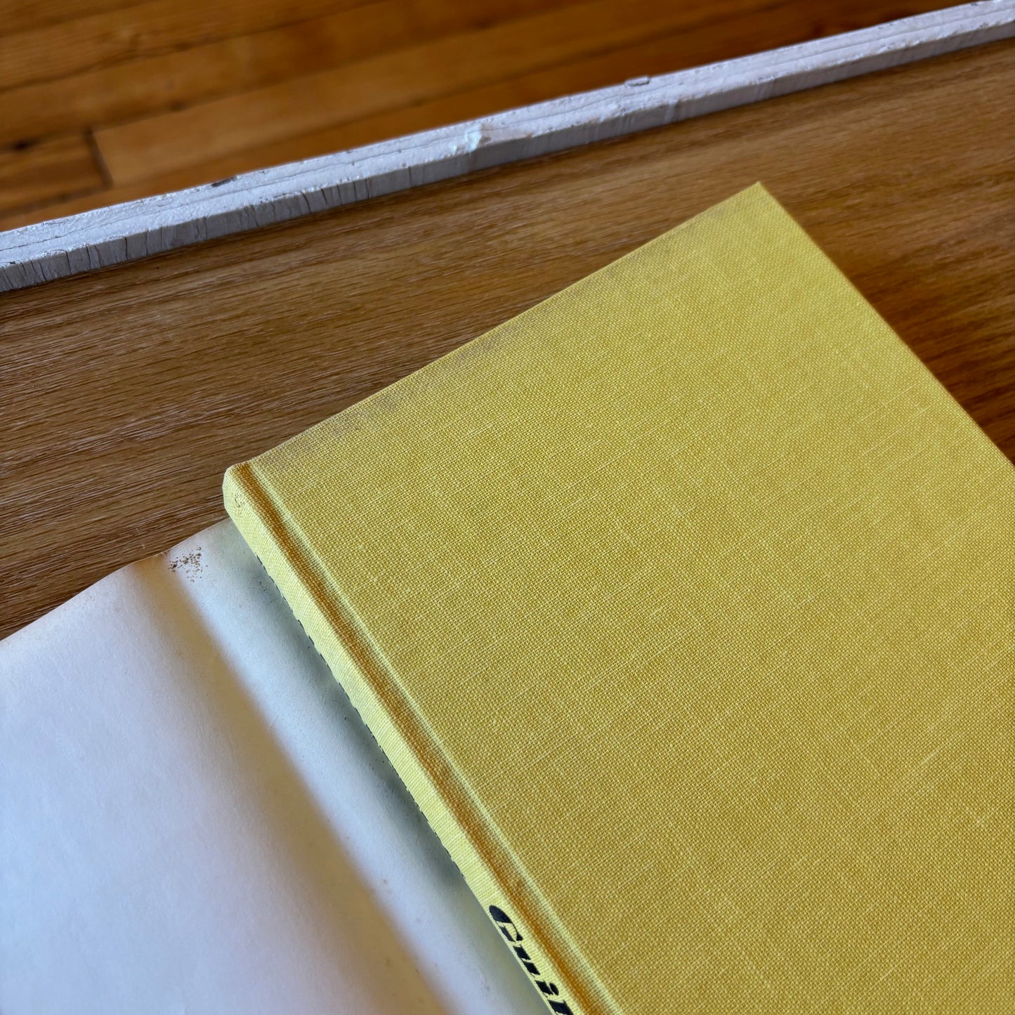 Donald Barthelme - Guilty Pleasures - First Edition