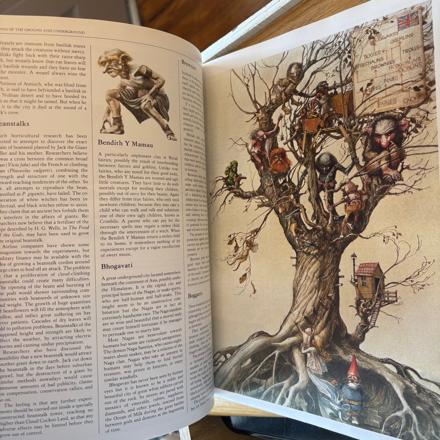 Michael Page, Robert Ingpen - Encyclopedia of Things That Never Were