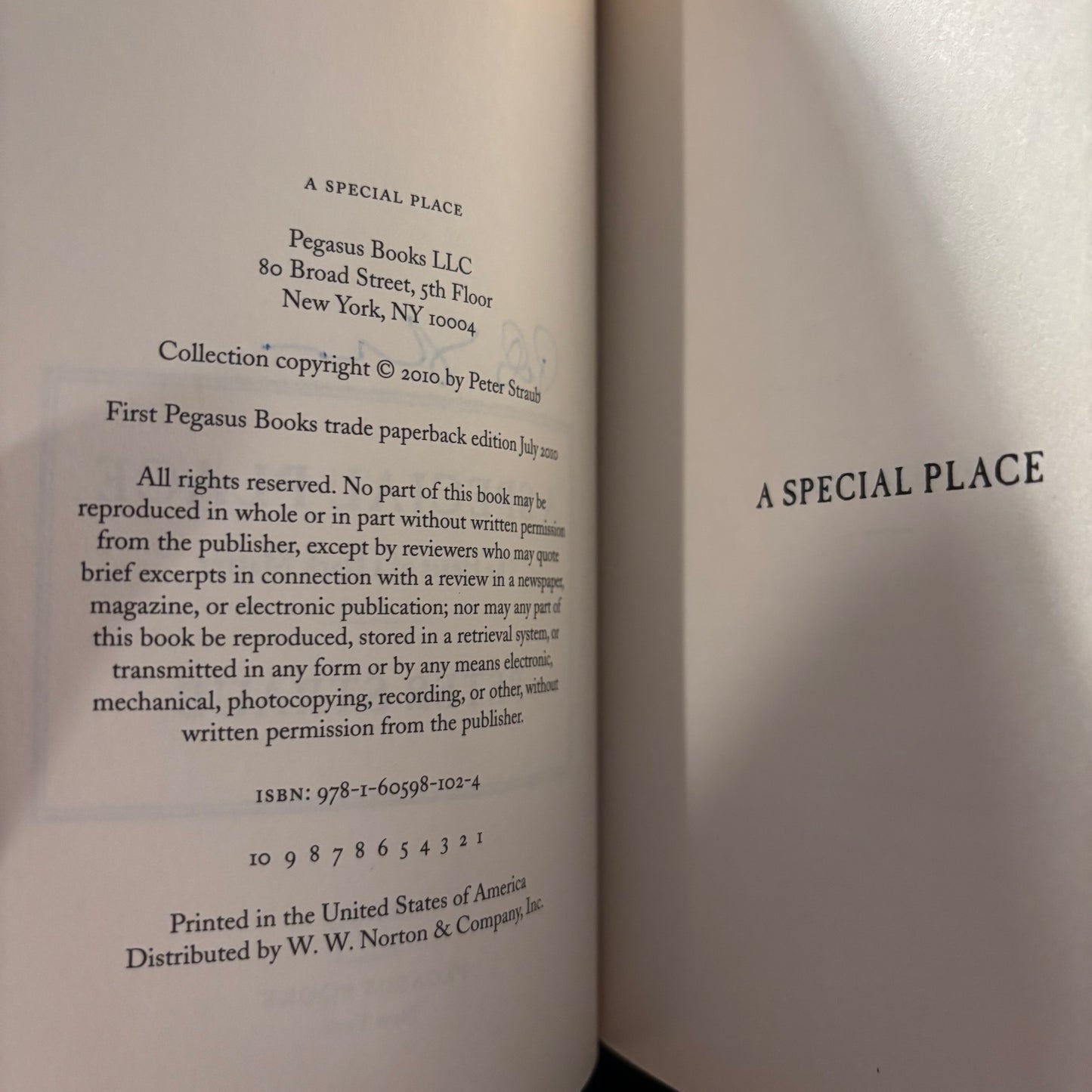 Peter Straub - A Special Place - Signed First Edition Paperback