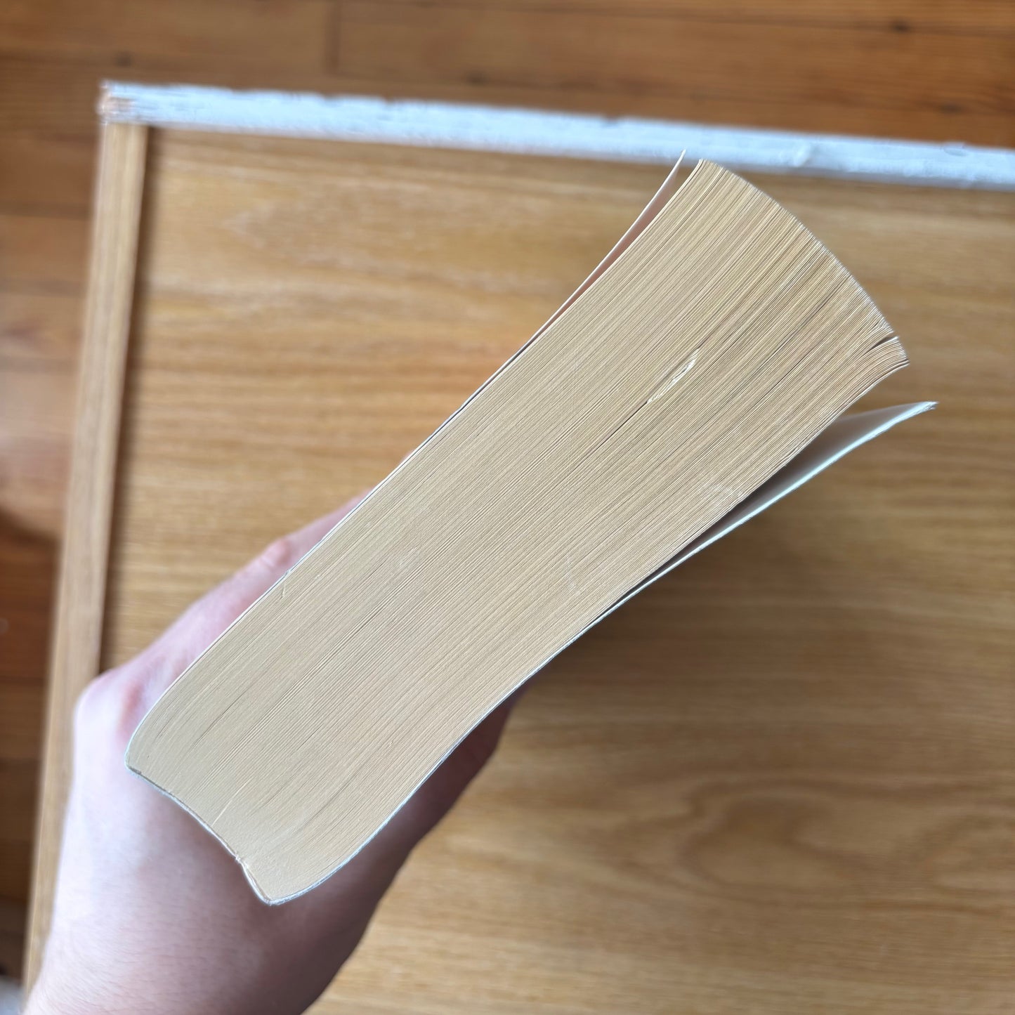 Thomas Pynchon - Mason & Dixon