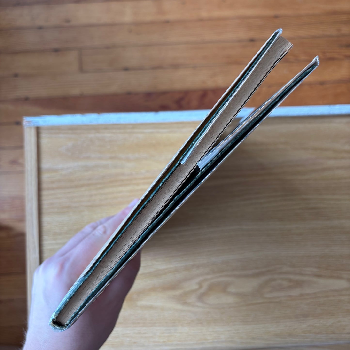 Ernst Hansen - Erotika