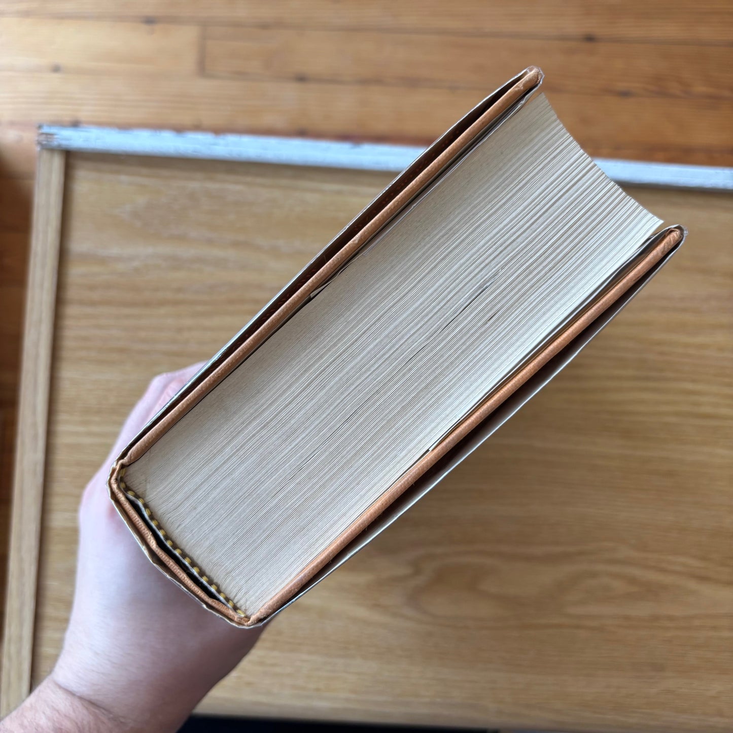 David G. Hartwell, ed. - The Dark Descent