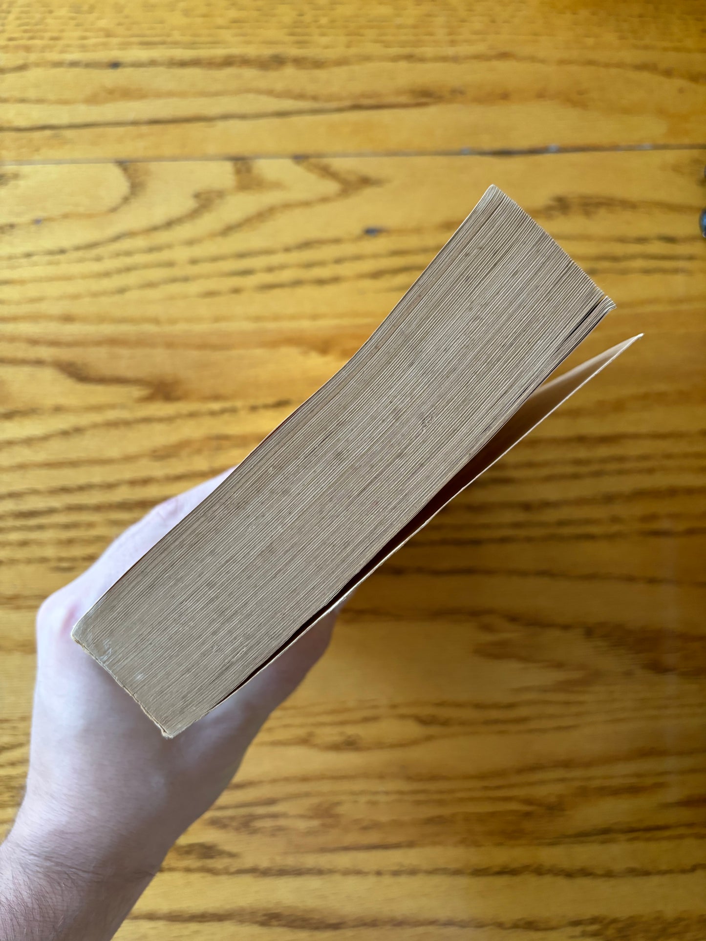 Gunter Grass - The Flounder - First Edition Paperback