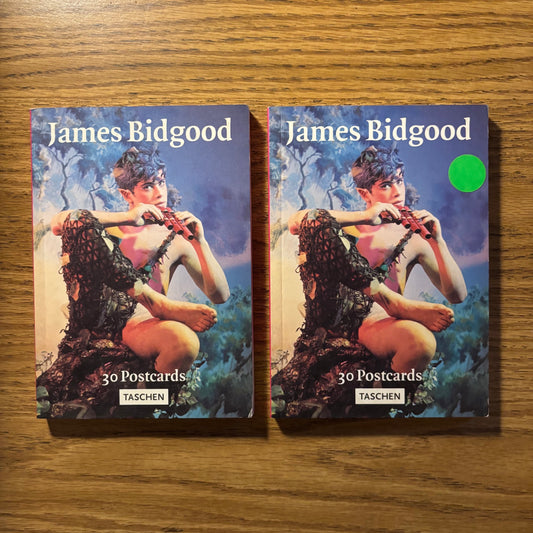 James Bidgood: 30 Postcards
