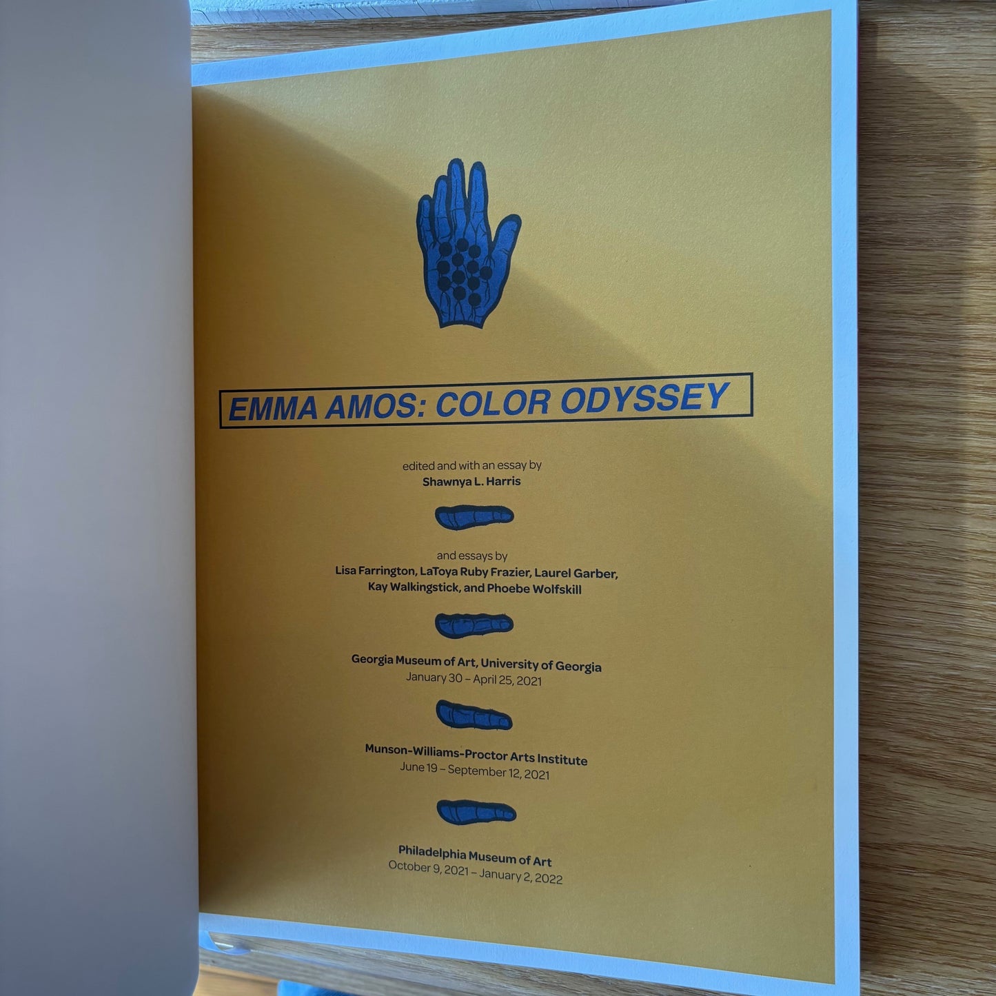 Emma Amos - Color Odyssey