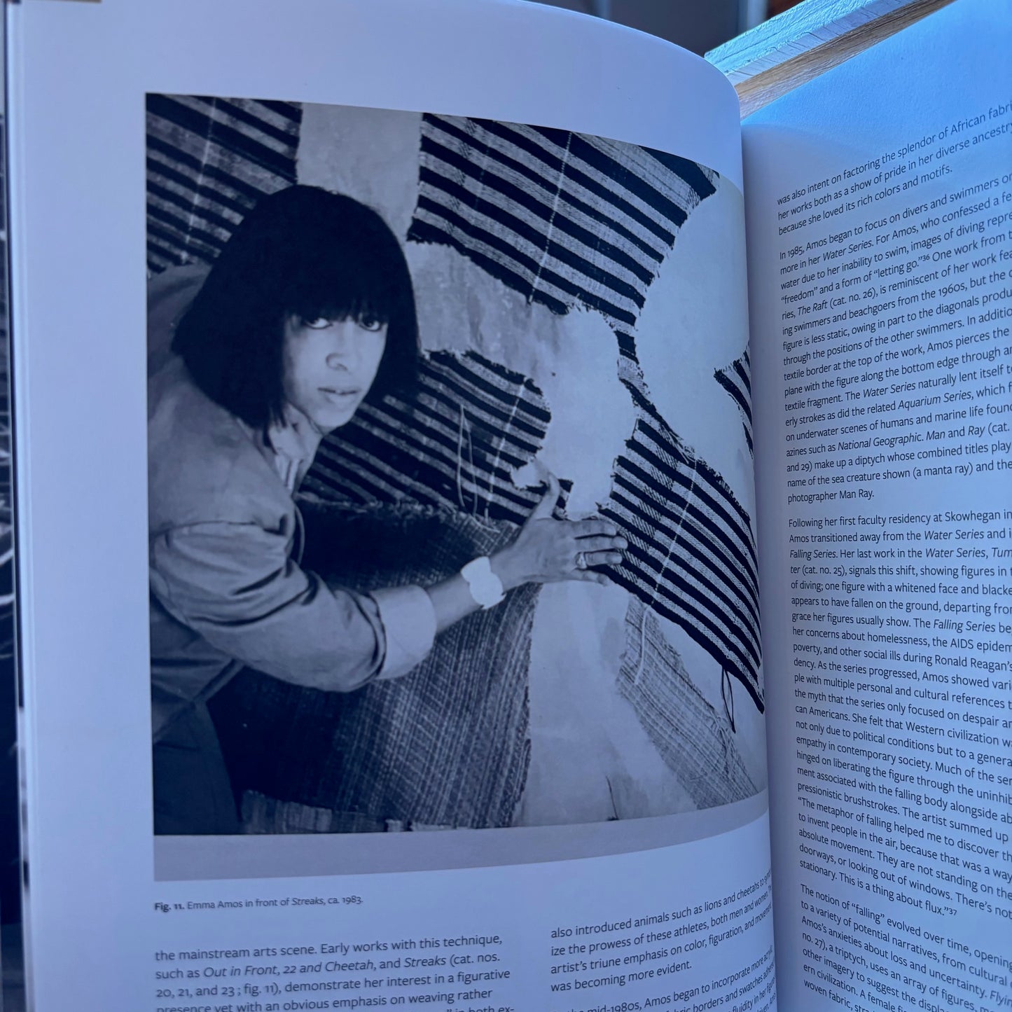 Emma Amos - Color Odyssey