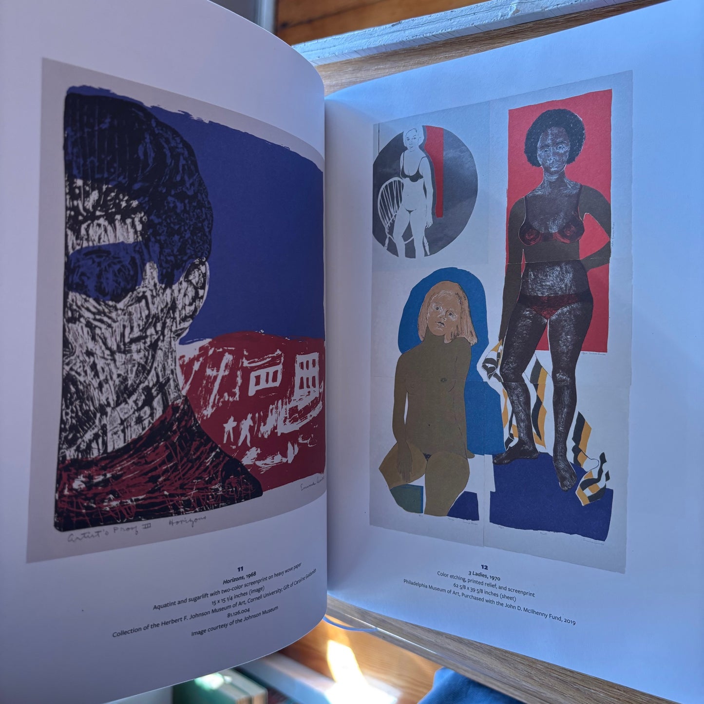 Emma Amos - Color Odyssey