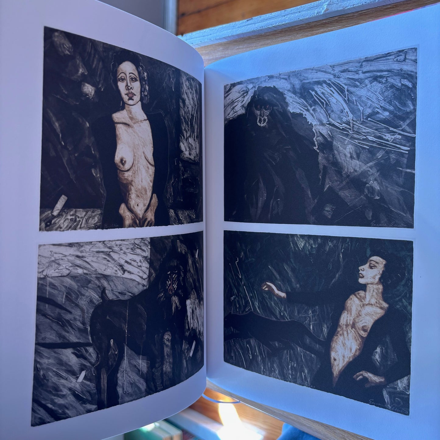 Emma Amos - Color Odyssey