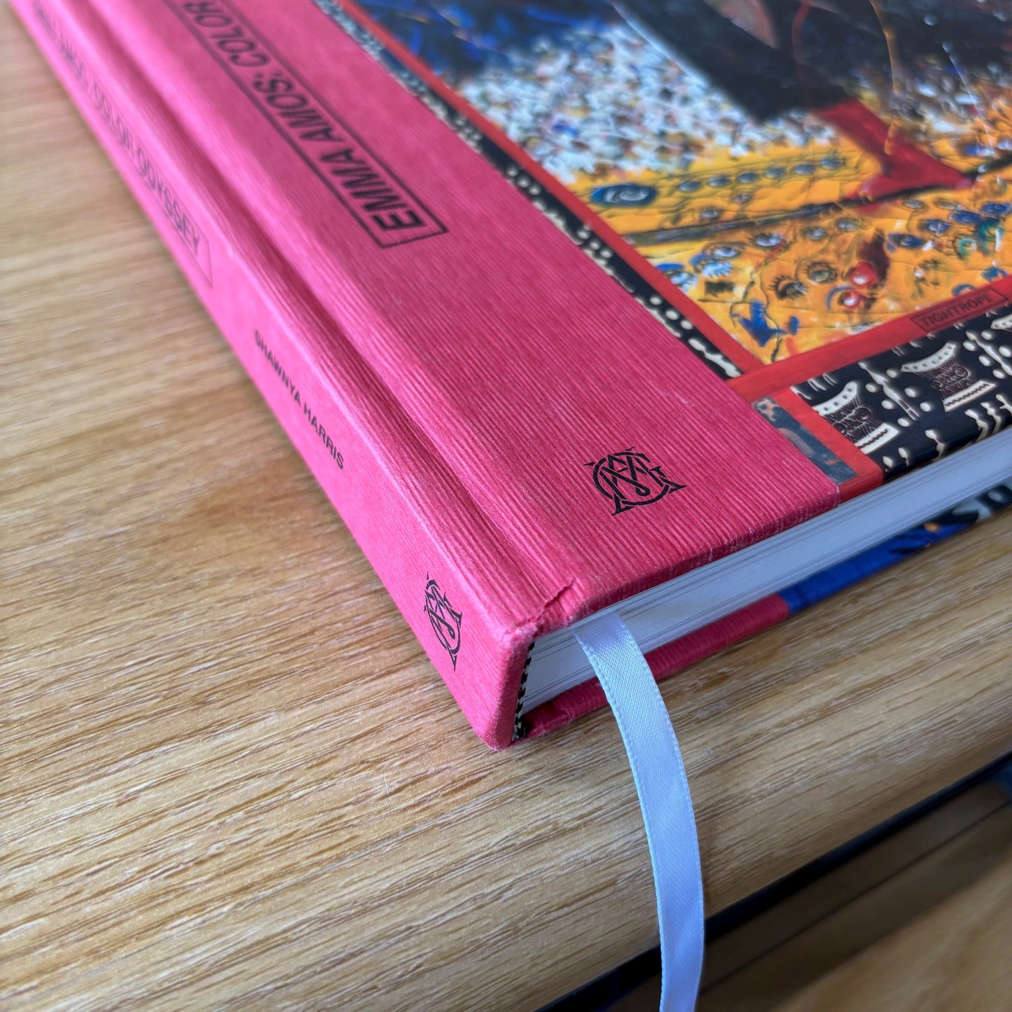 Emma Amos - Color Odyssey