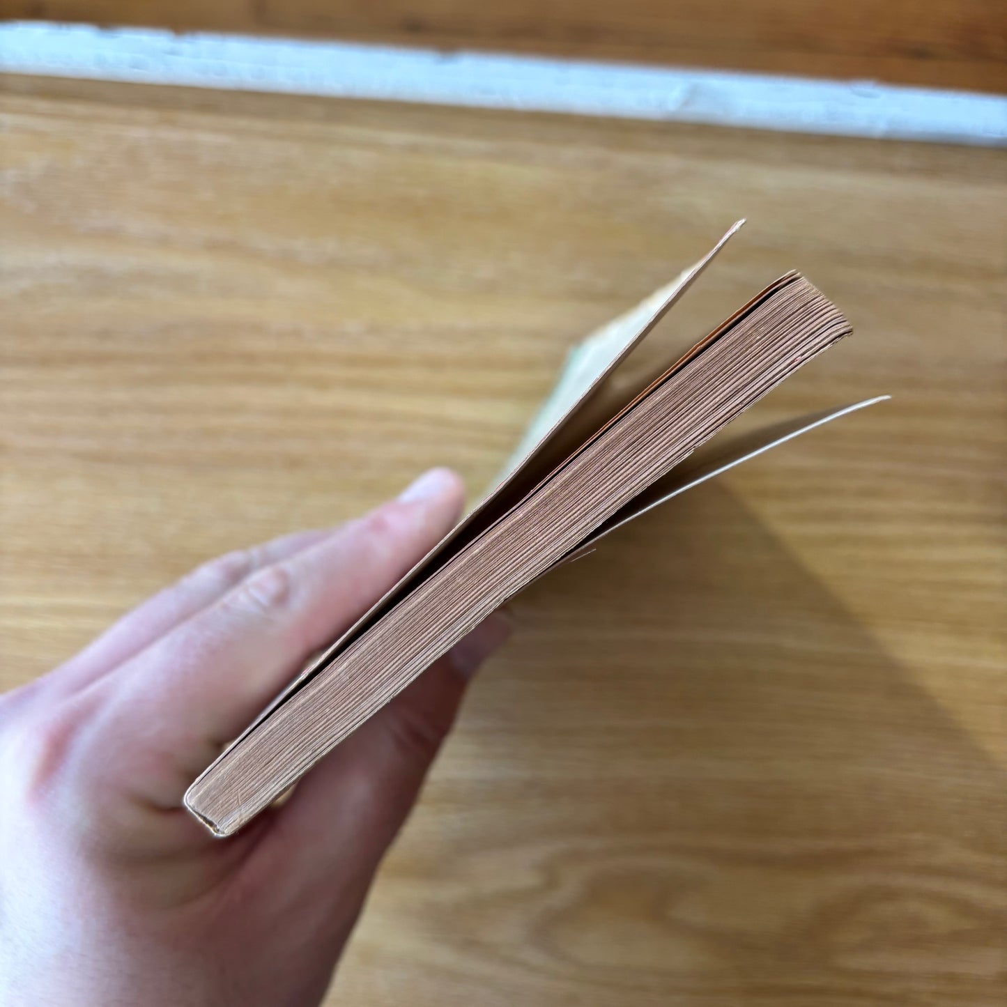 William Gardner Smith - Last of the Conquerors