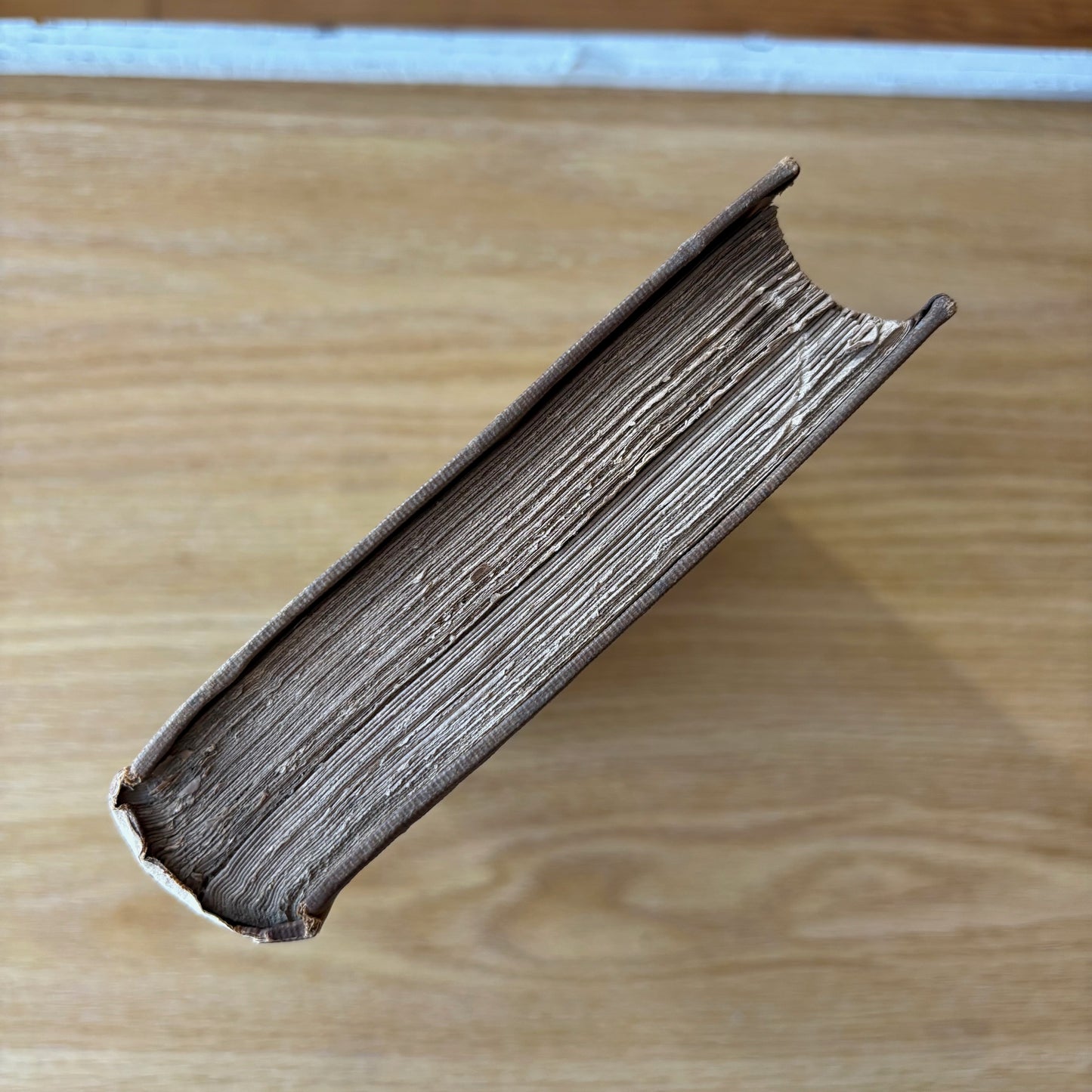 (Hans Holbein the Younger) Holbein's Dance of Death / Holbein's Bible Cuts - 1858 Edition