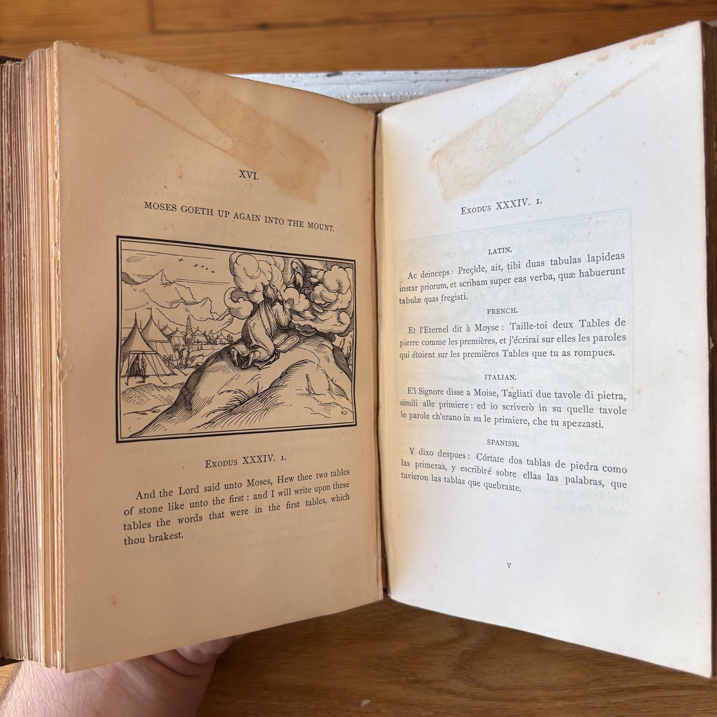 (Hans Holbein the Younger) Holbein's Dance of Death / Holbein's Bible Cuts - 1858 Edition