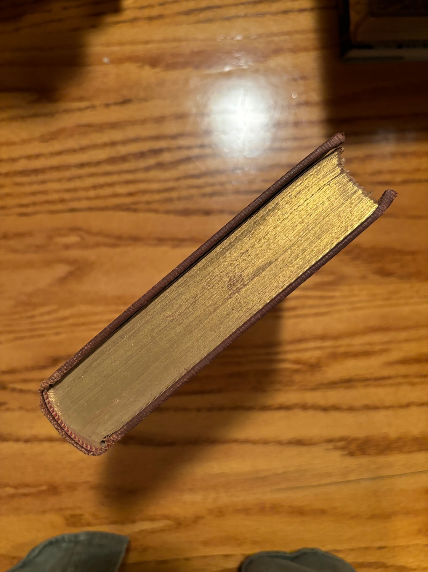 Jonathan Swift - Gulliver's Travels (1925) - Limited Edition
