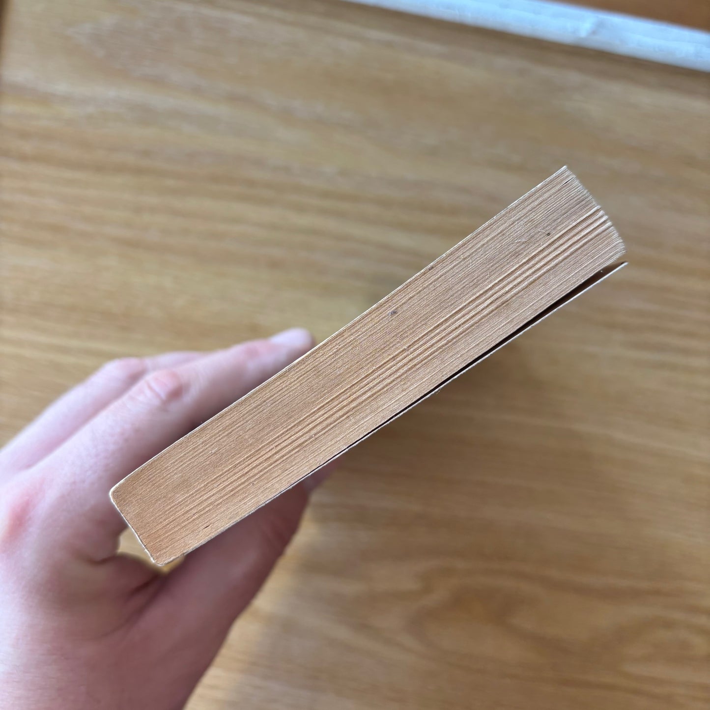 William Hjortsberg - Falling Angel