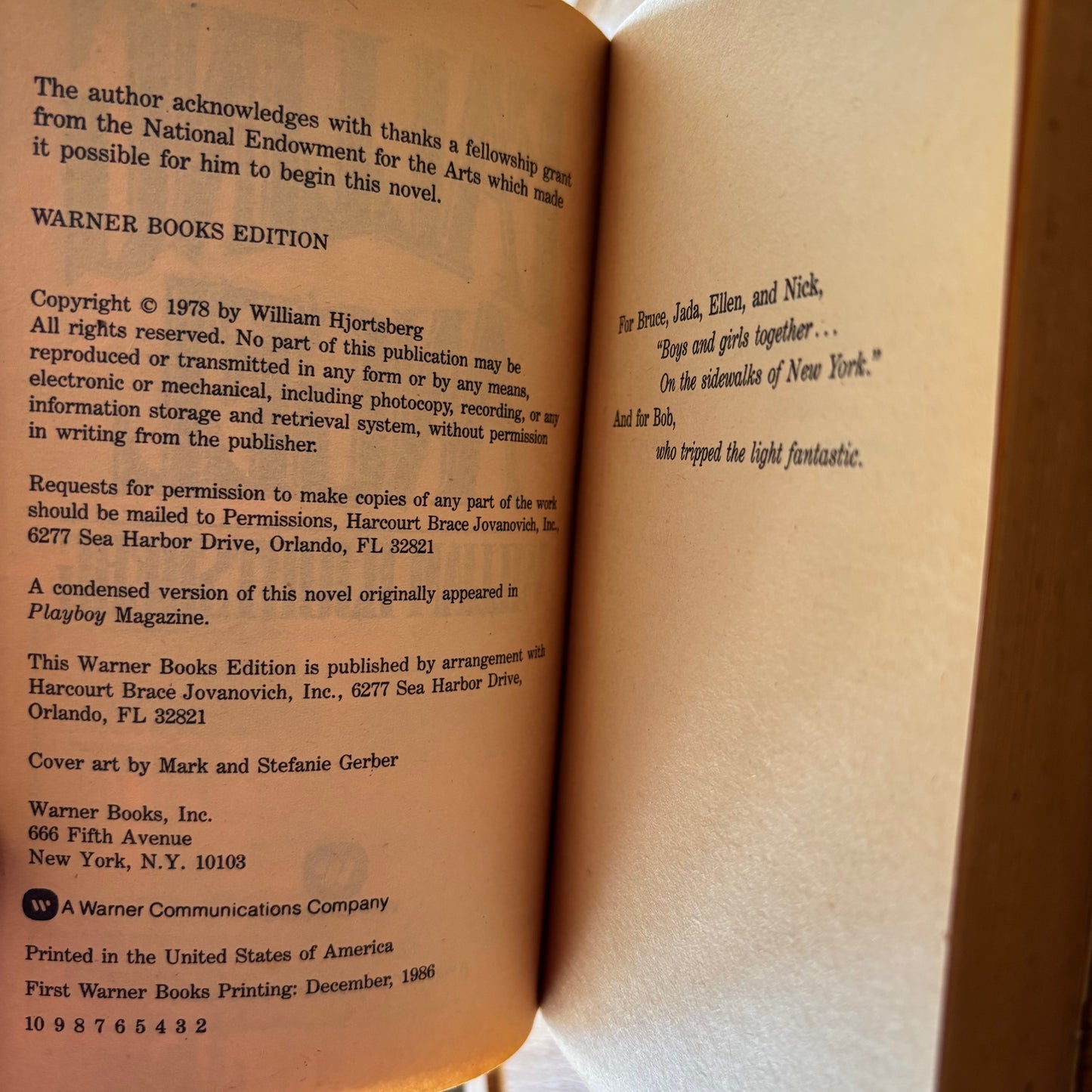 William Hjortsberg - Falling Angel