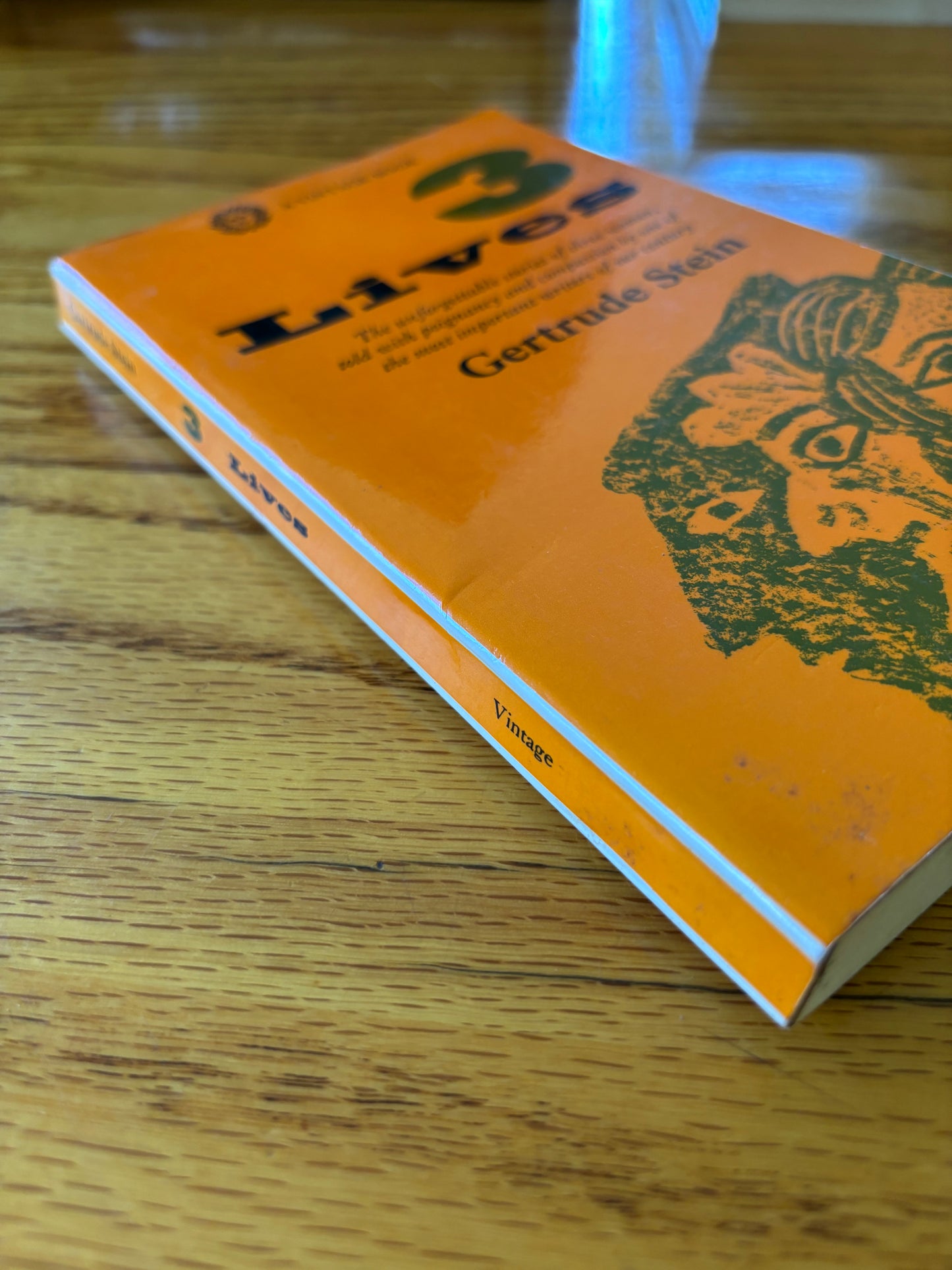Gertrude Stein - 3 Lives